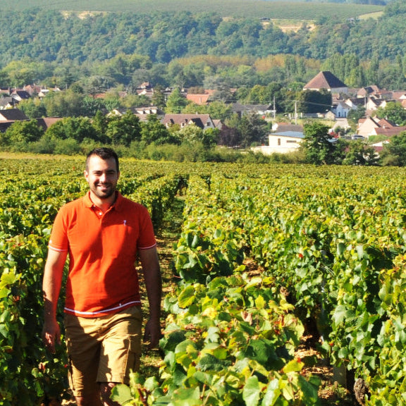 Domaine des Hâtes Pierrick Laroche Chablis 2023 1.5L