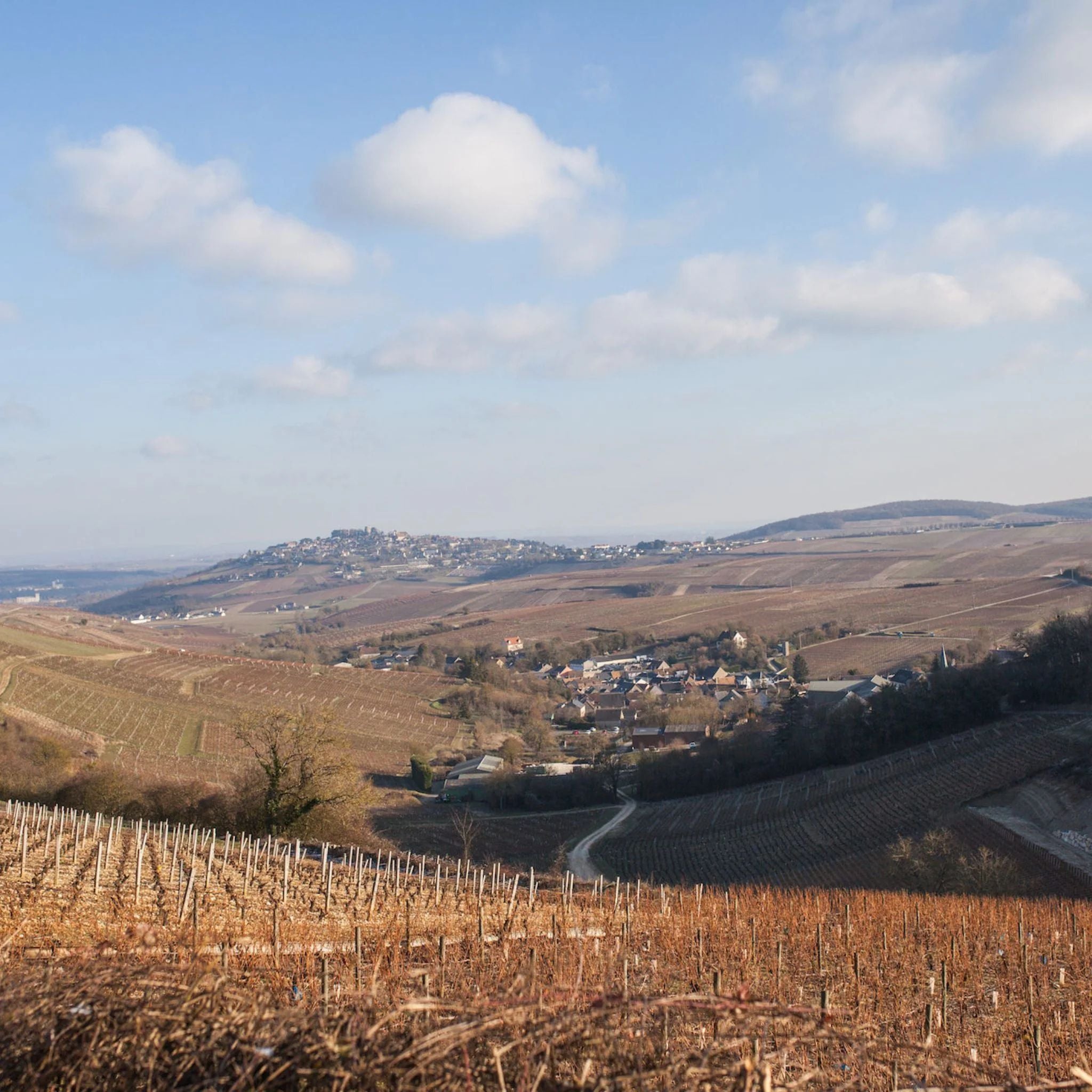Domaine Gerard Boulay Sancerre à Chavignol 2024