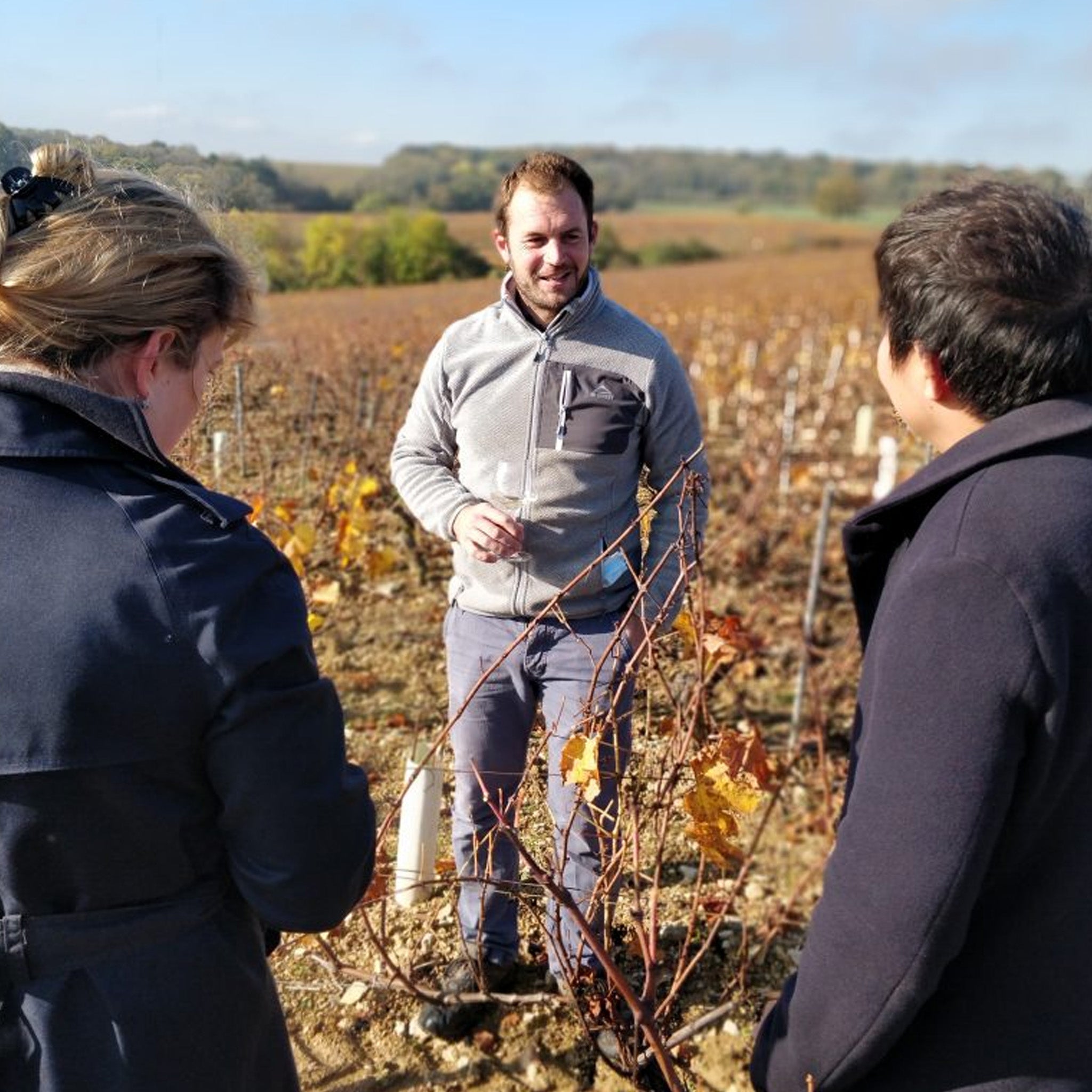 Domaine 47°N 3°E