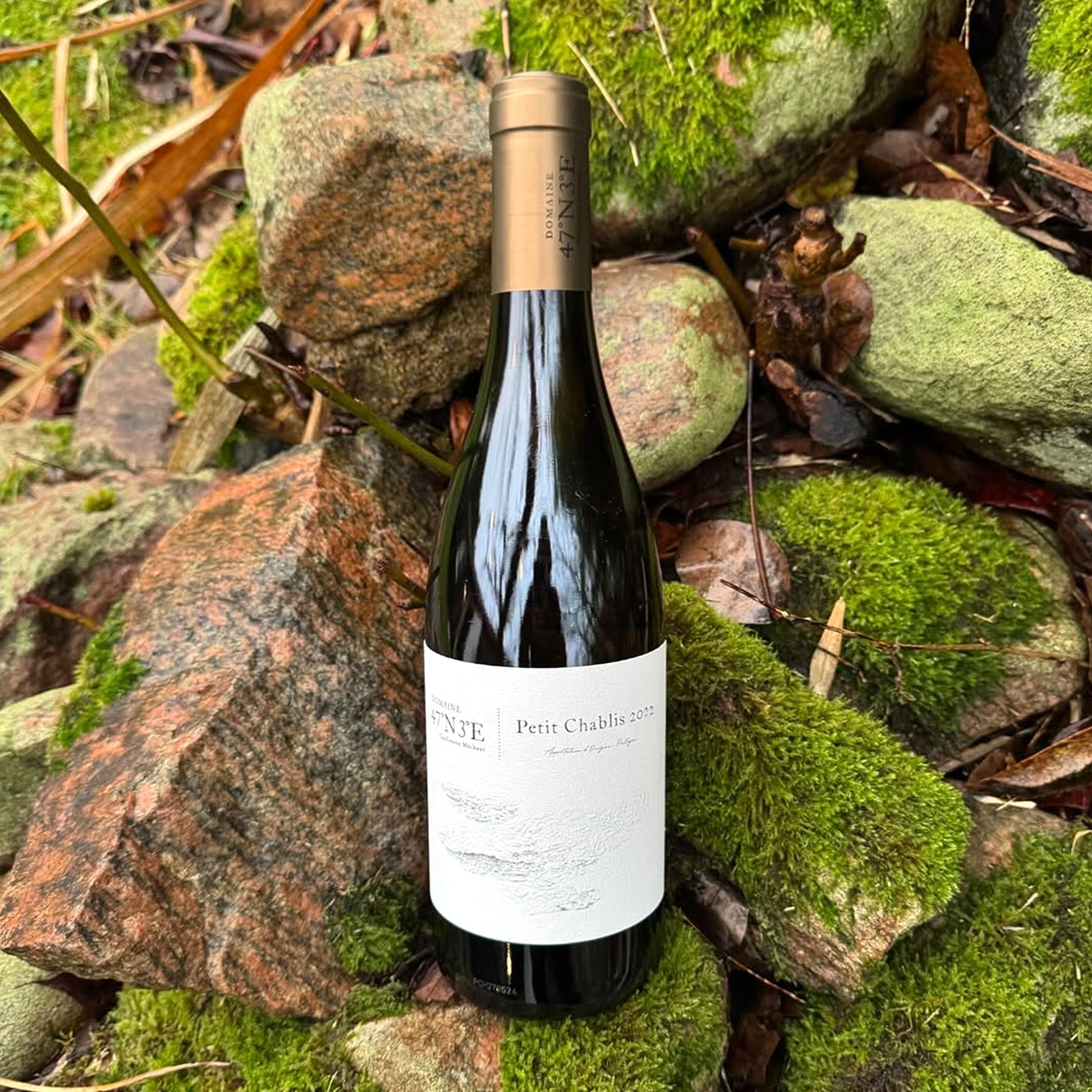 Domaine 47°N 3°E Petit Chablis 2022