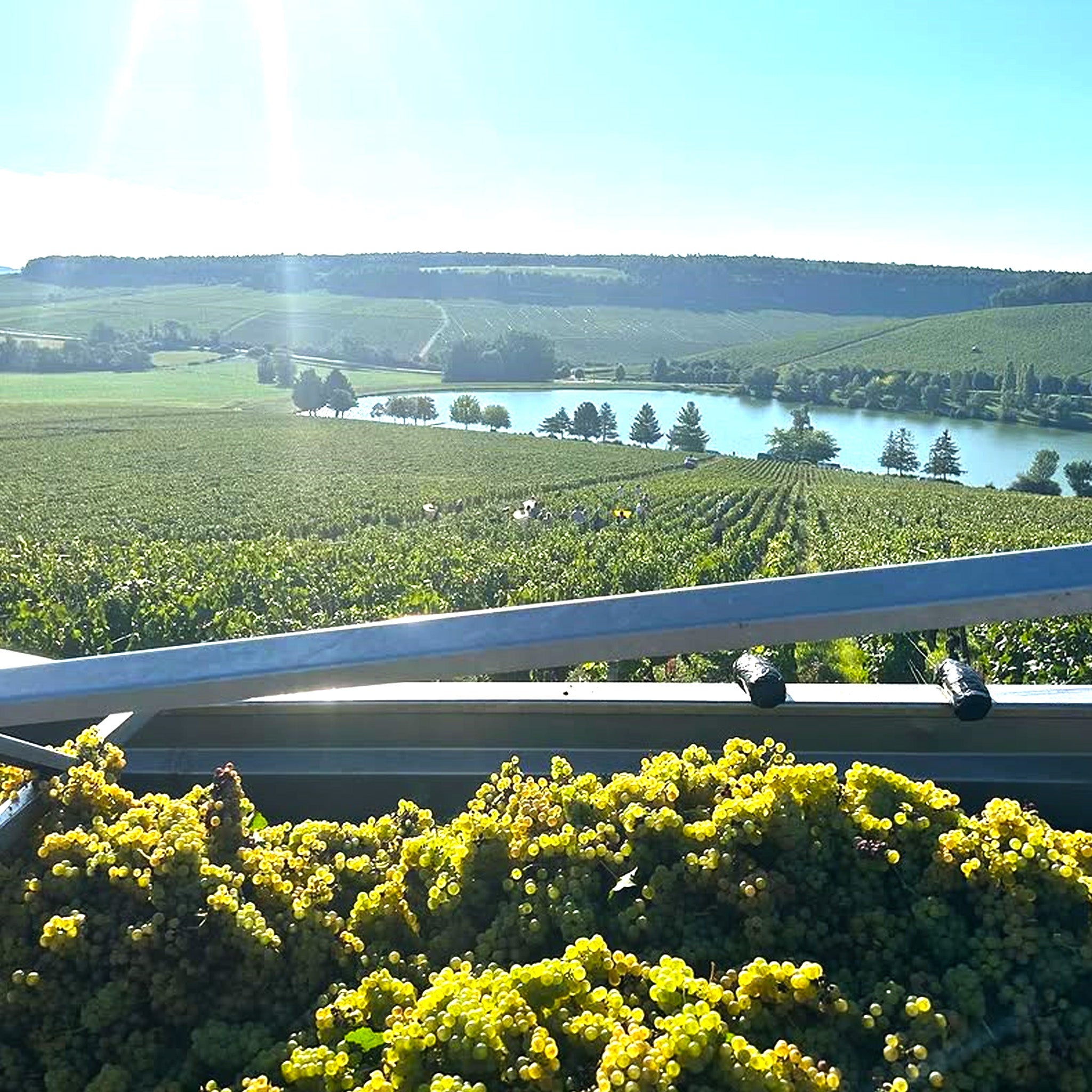 Domaine 47°N 3°E Chablis 2022