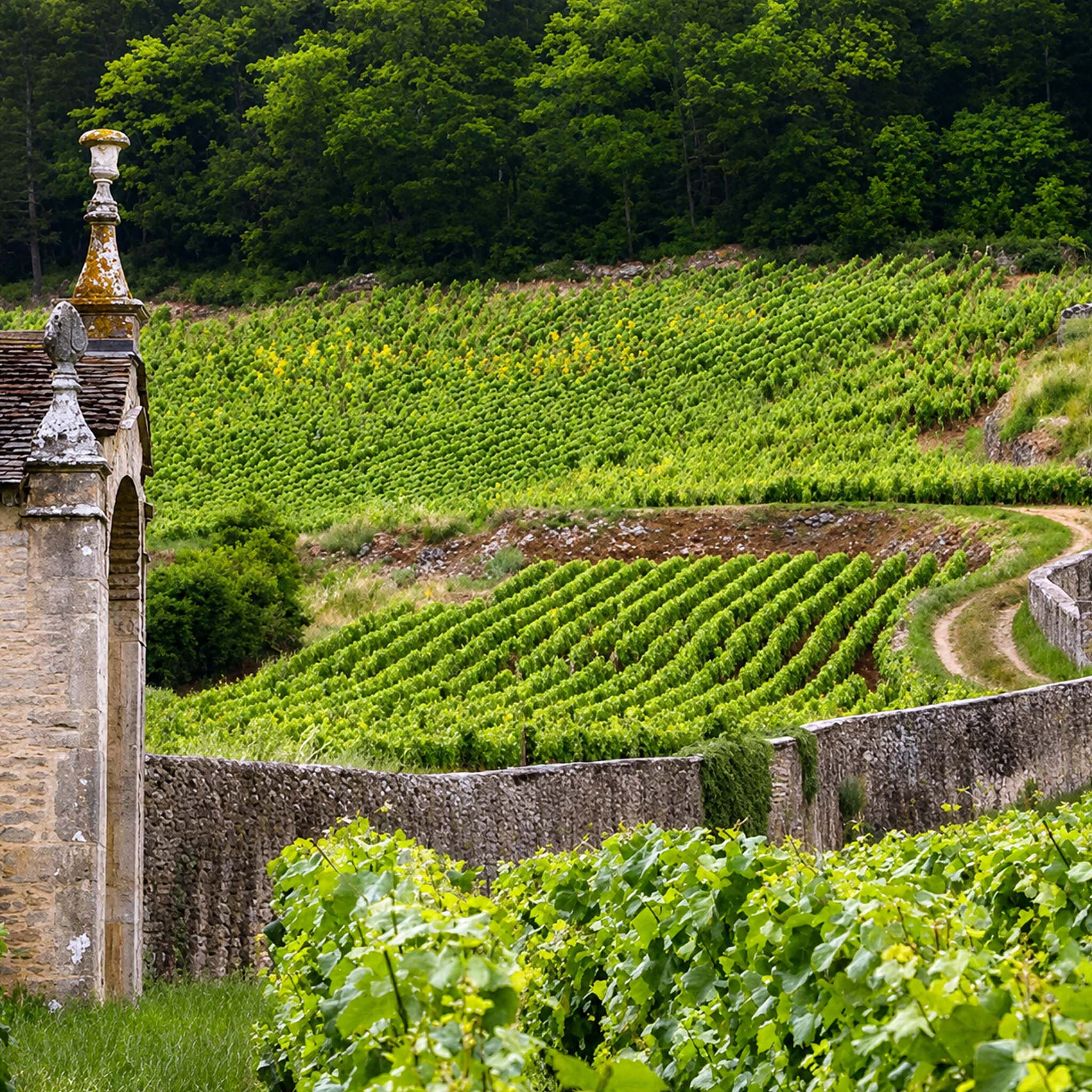 Domaine Armand Rousseau Chambertin Grand Cru 2023