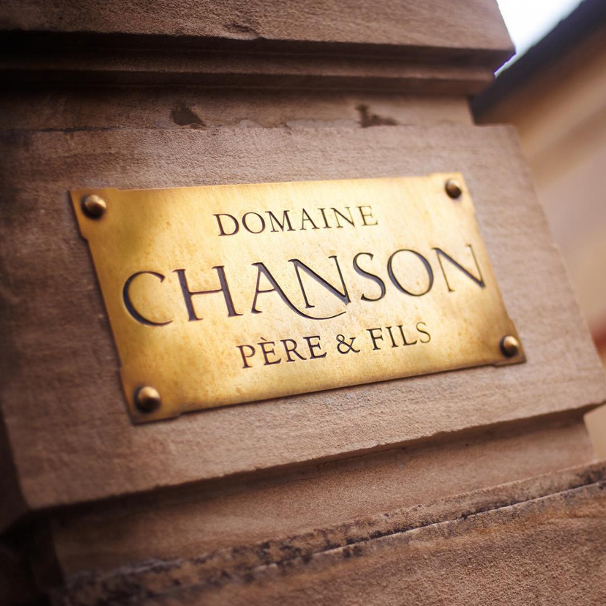 Domaine Chanson Savigny Les Beaune Hauts Marconnets 1er Cru Blanc 2020