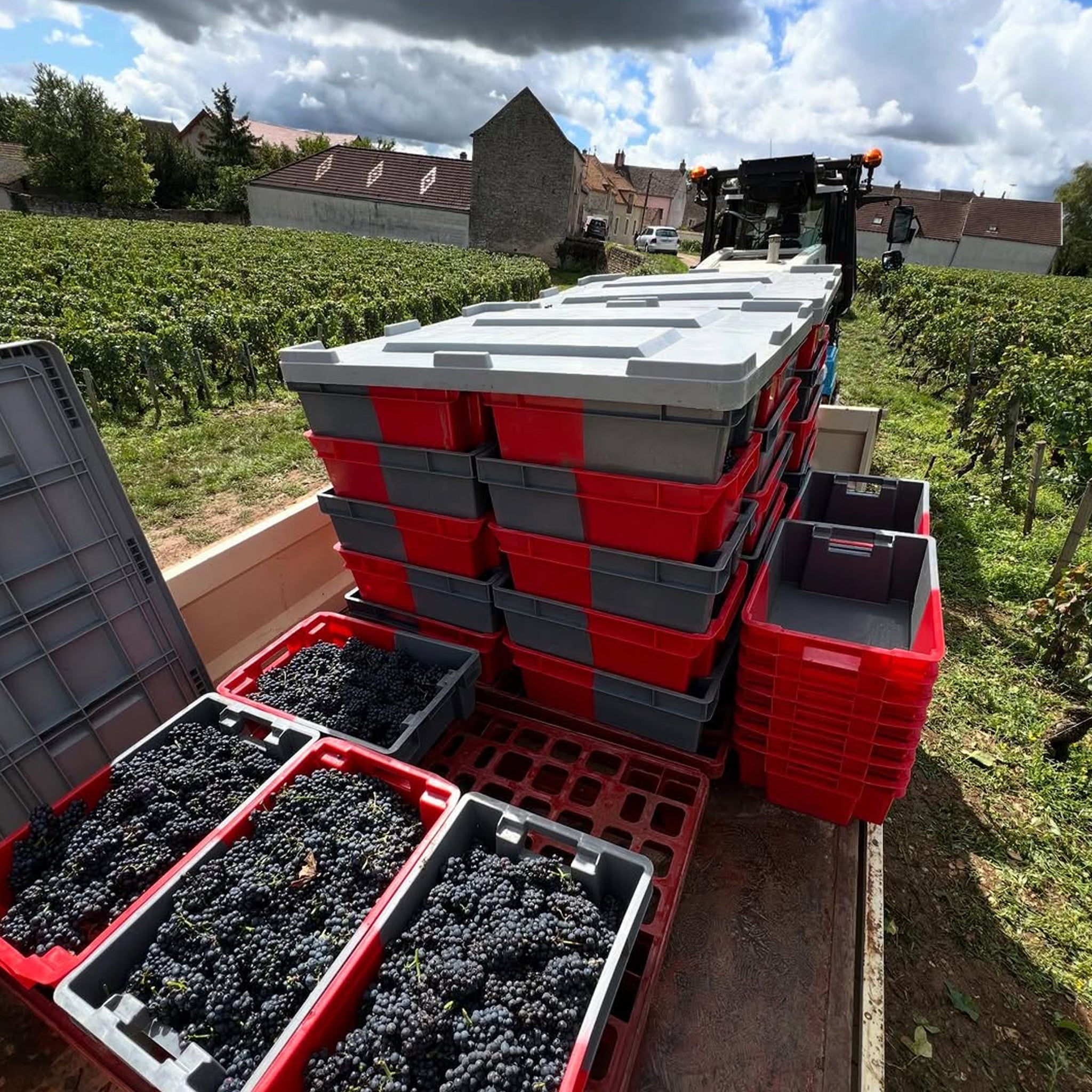 Domaine Henri & Philippe Jouan Chambolle Musigny Vieilles Vignes 2023