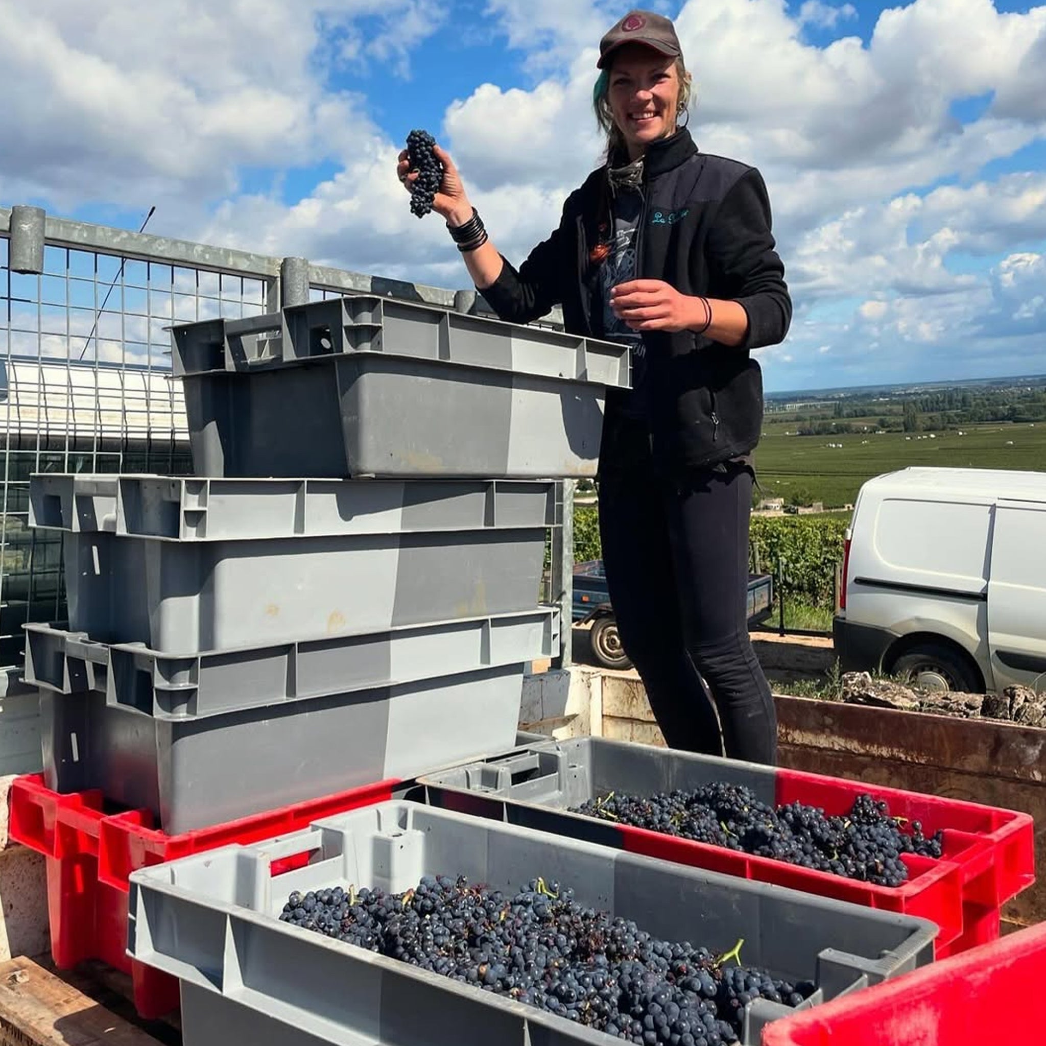 Domaine Marquis d'Angerville Volnay 1er Cru Taillepieds 2022