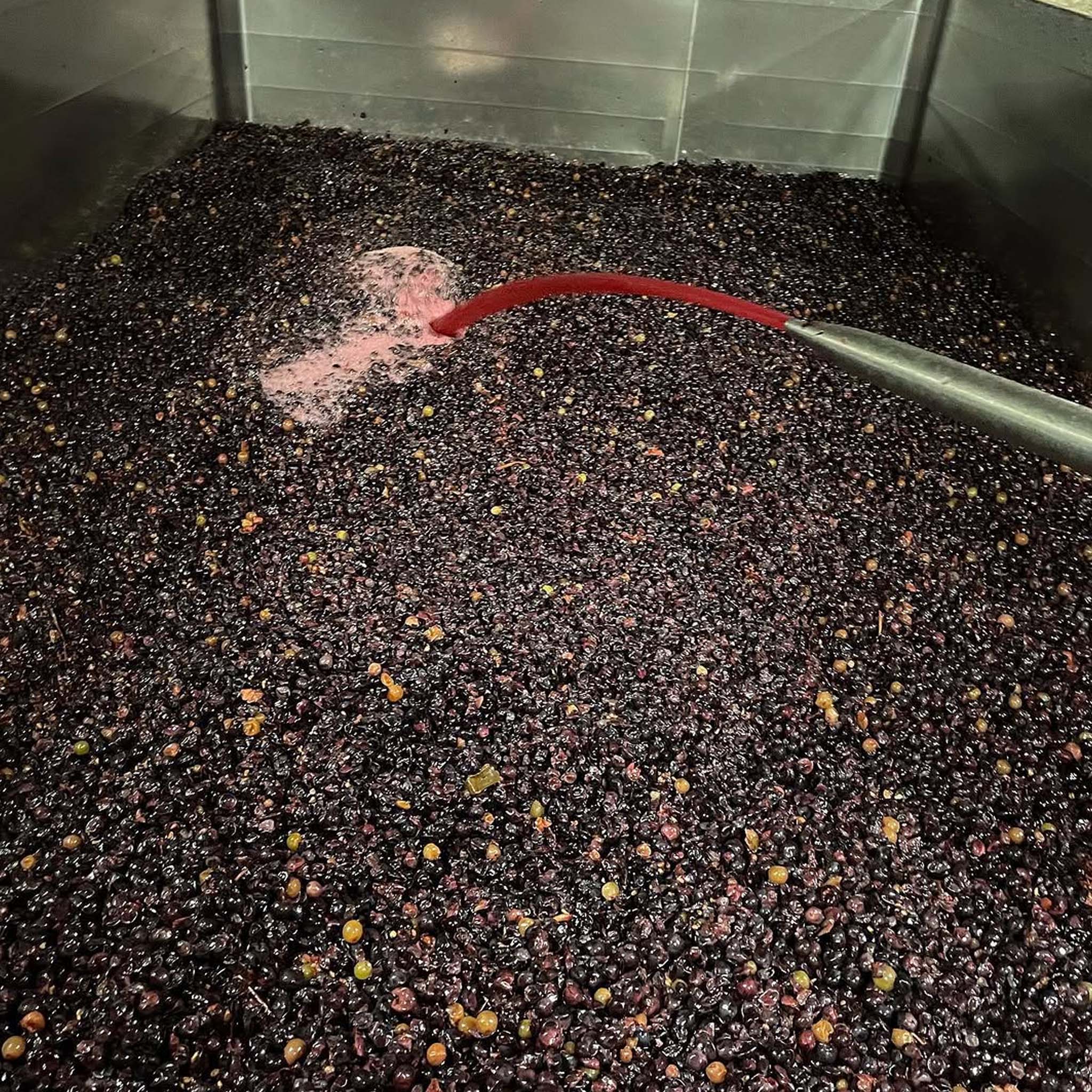 Domaine Matrot Blagny 1er Cru La Pièce Sous le Bois Rouge 2023