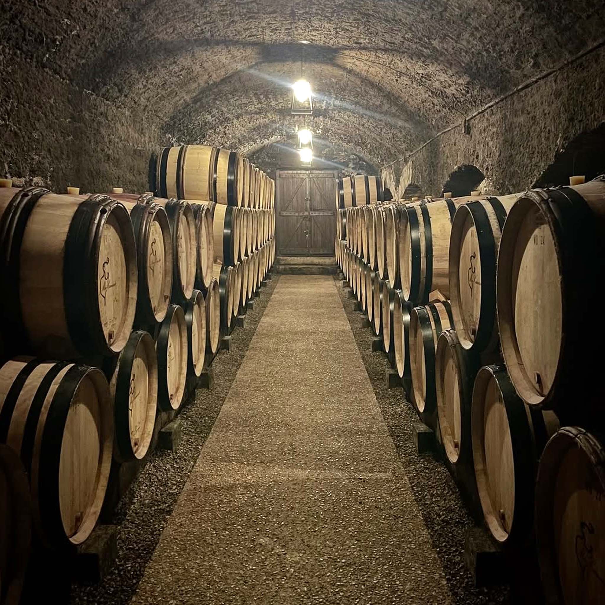 Domaine Meo-Camuzet Bourgogne Rouge Cuvée Etienne 2023