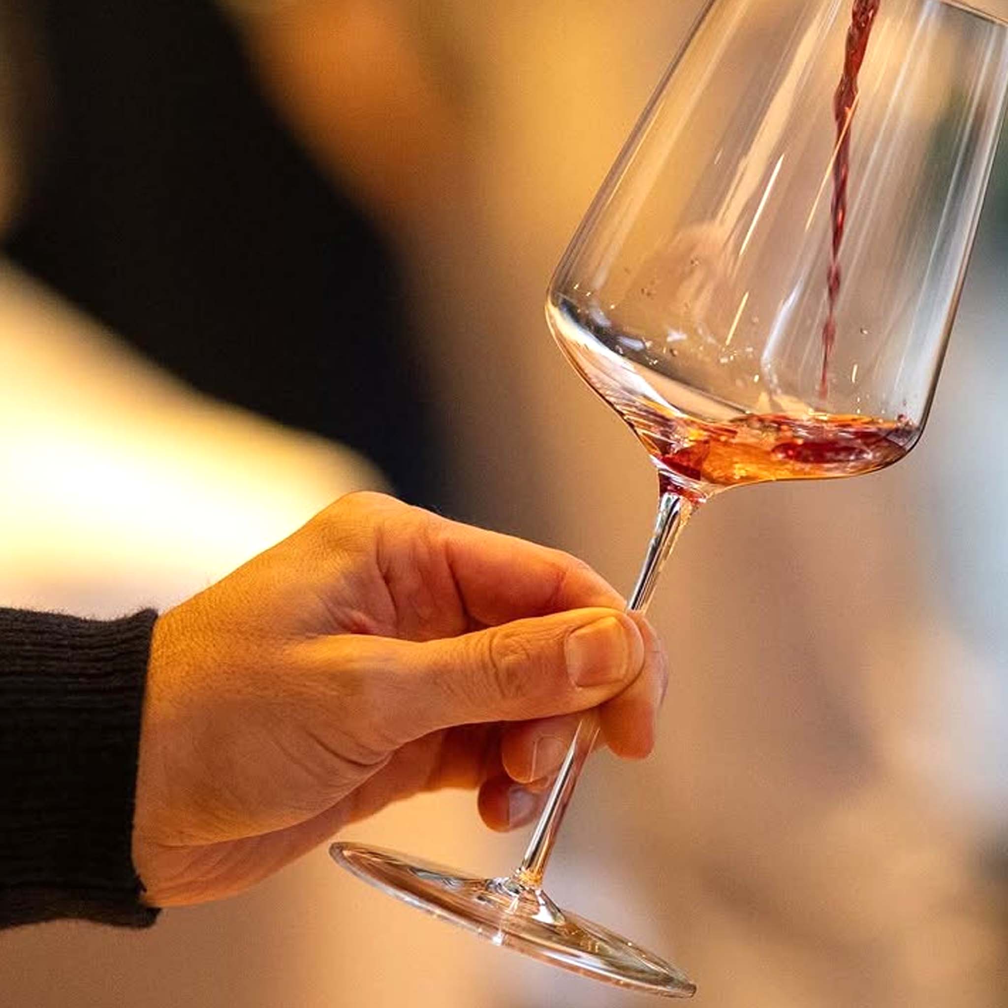 Domaine Meo-Camuzet Bourgogne Rouge Cuvée Etienne 2023