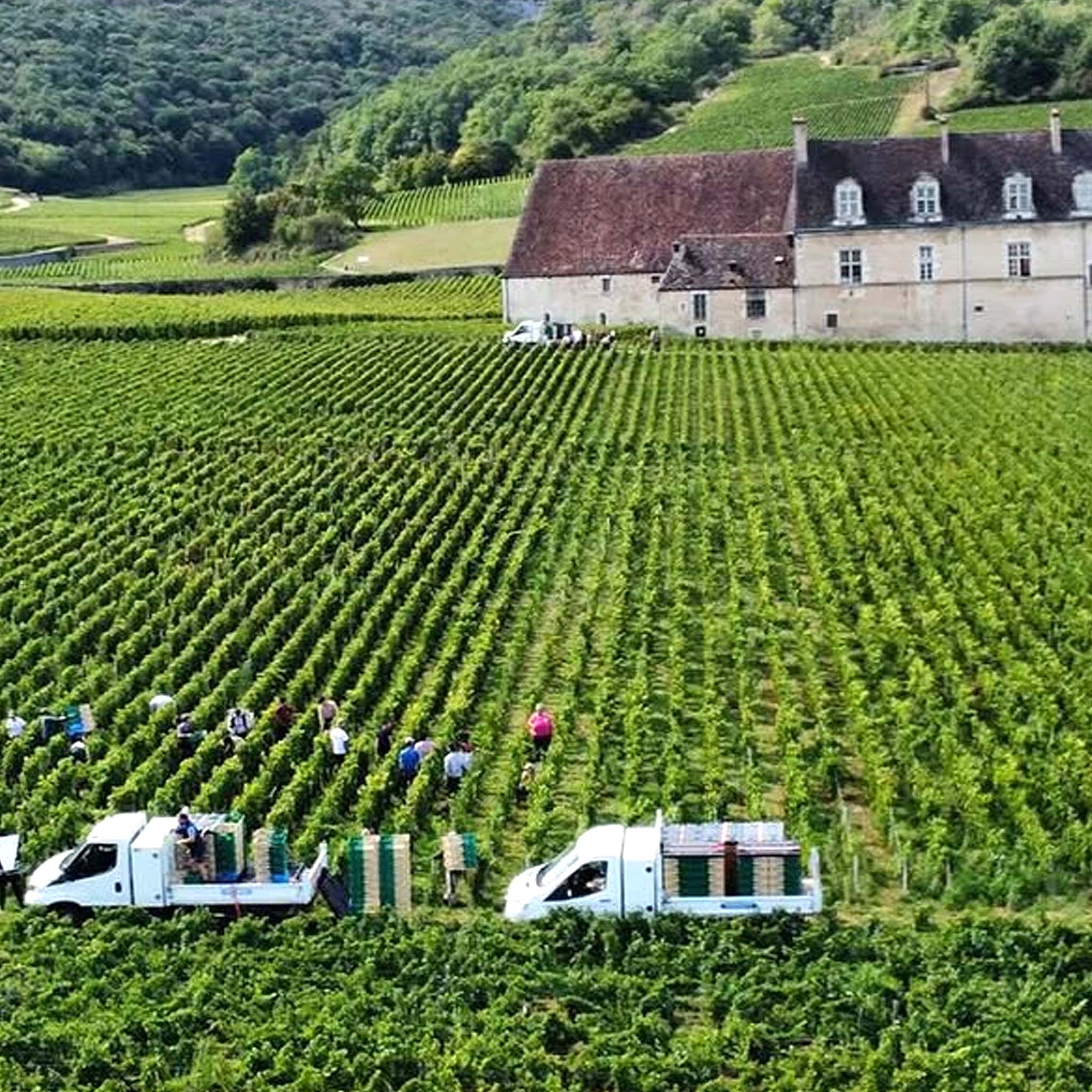Domaine Meo-Camuzet Bourgogne Rouge Cuvée Etienne 2023