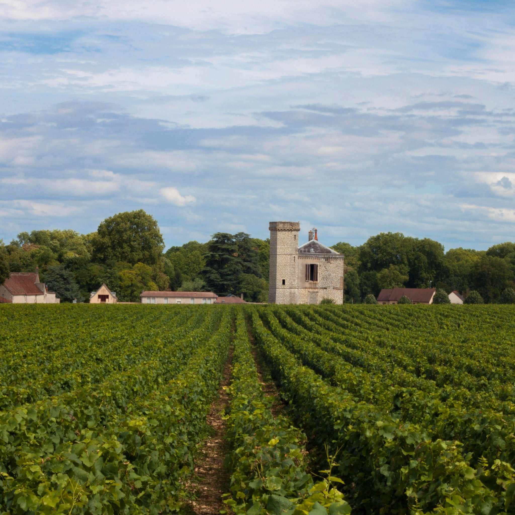 Philosophy | Domaine Michel Gros