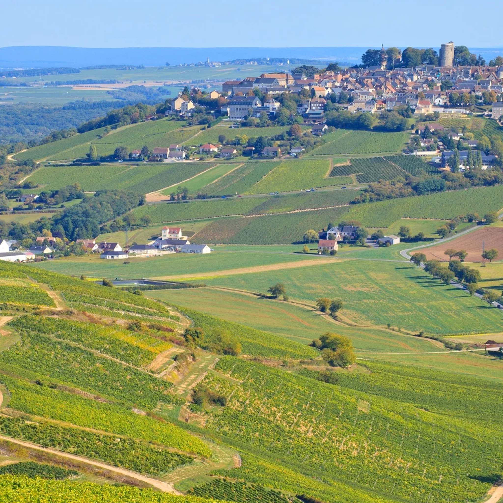 Domaine Pascal Cotat Sancerre Les Monts Damnes 2024