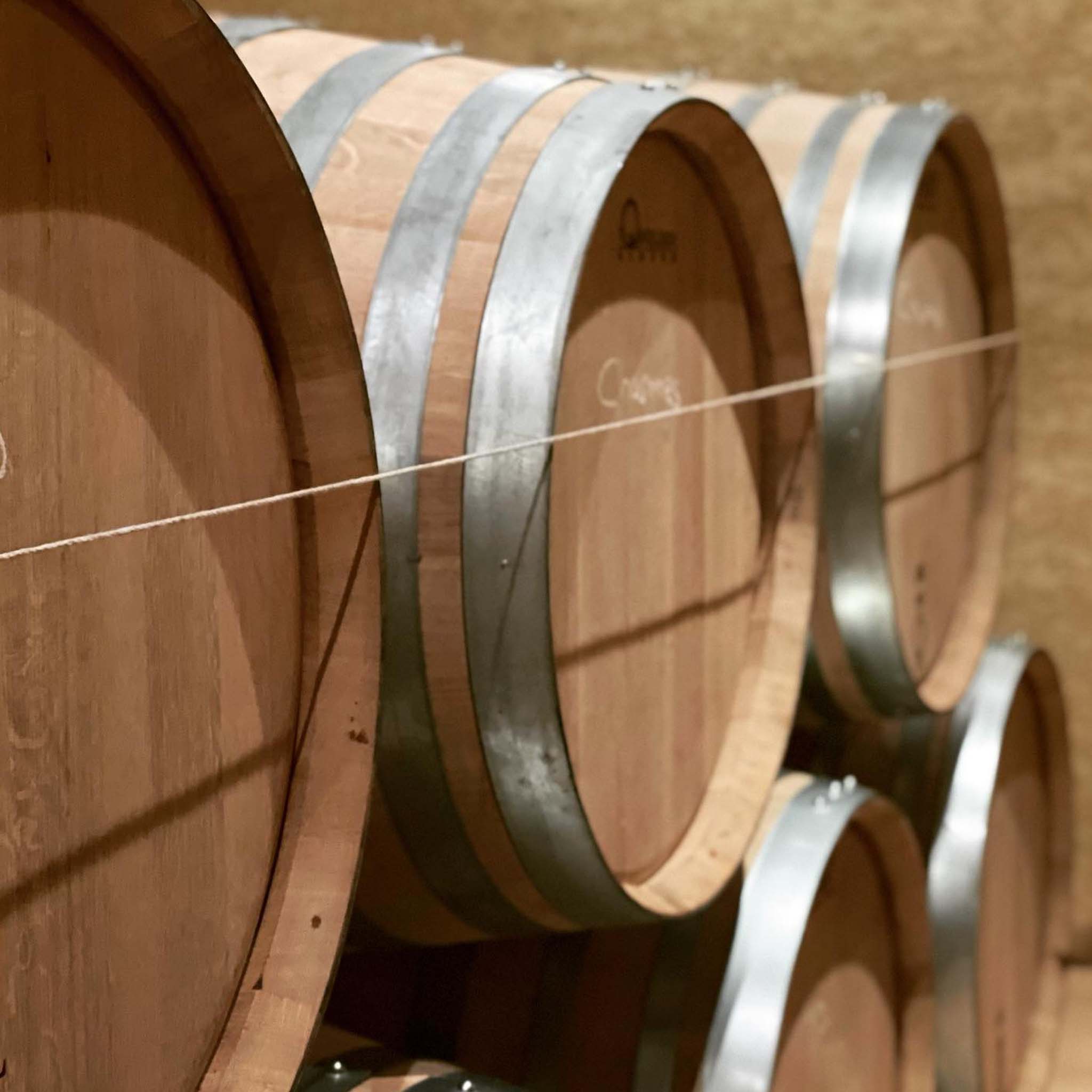 Domaine Paul Chavy Bourgogne Rouge Pinot Noir 2023