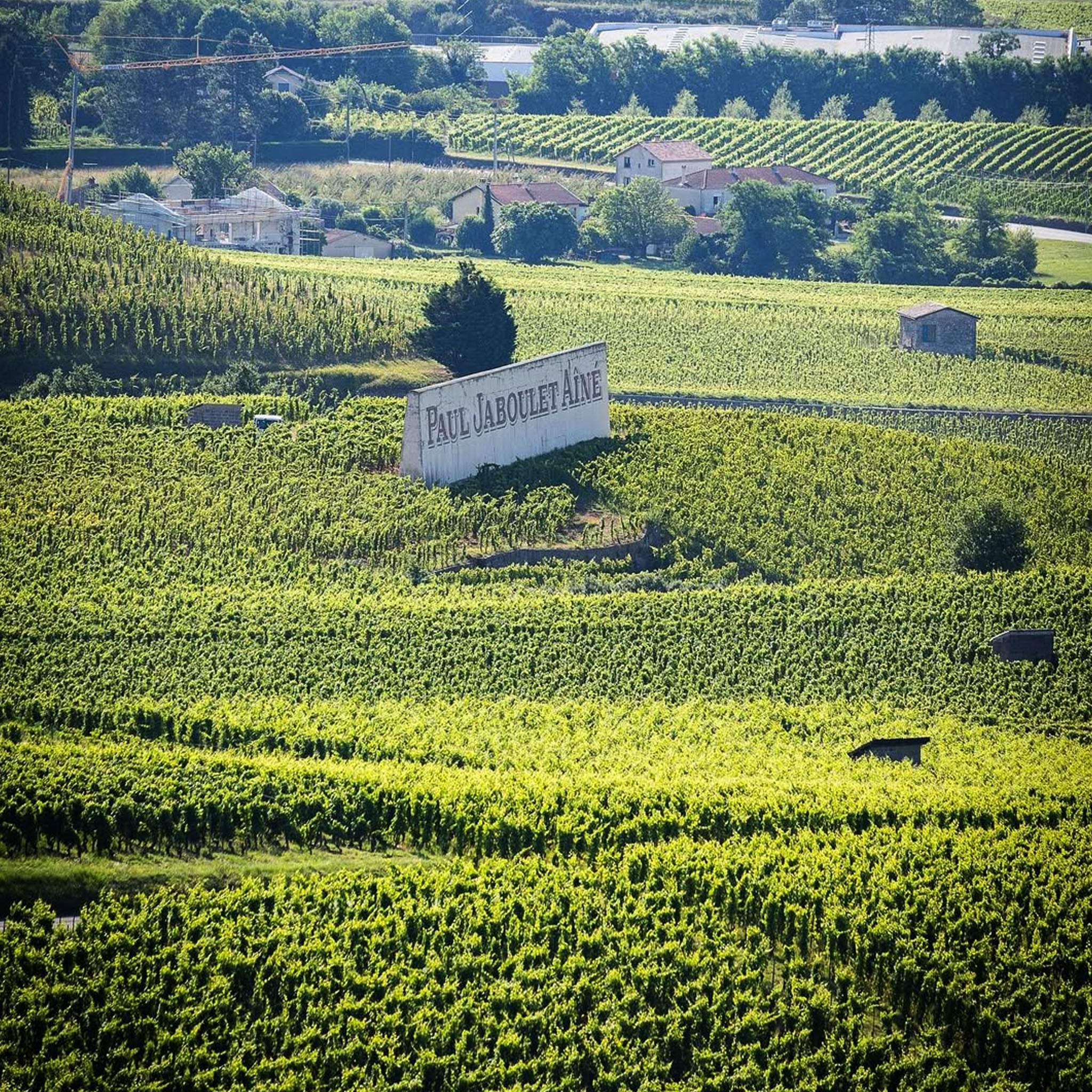 Paul Jaboulet Aîné