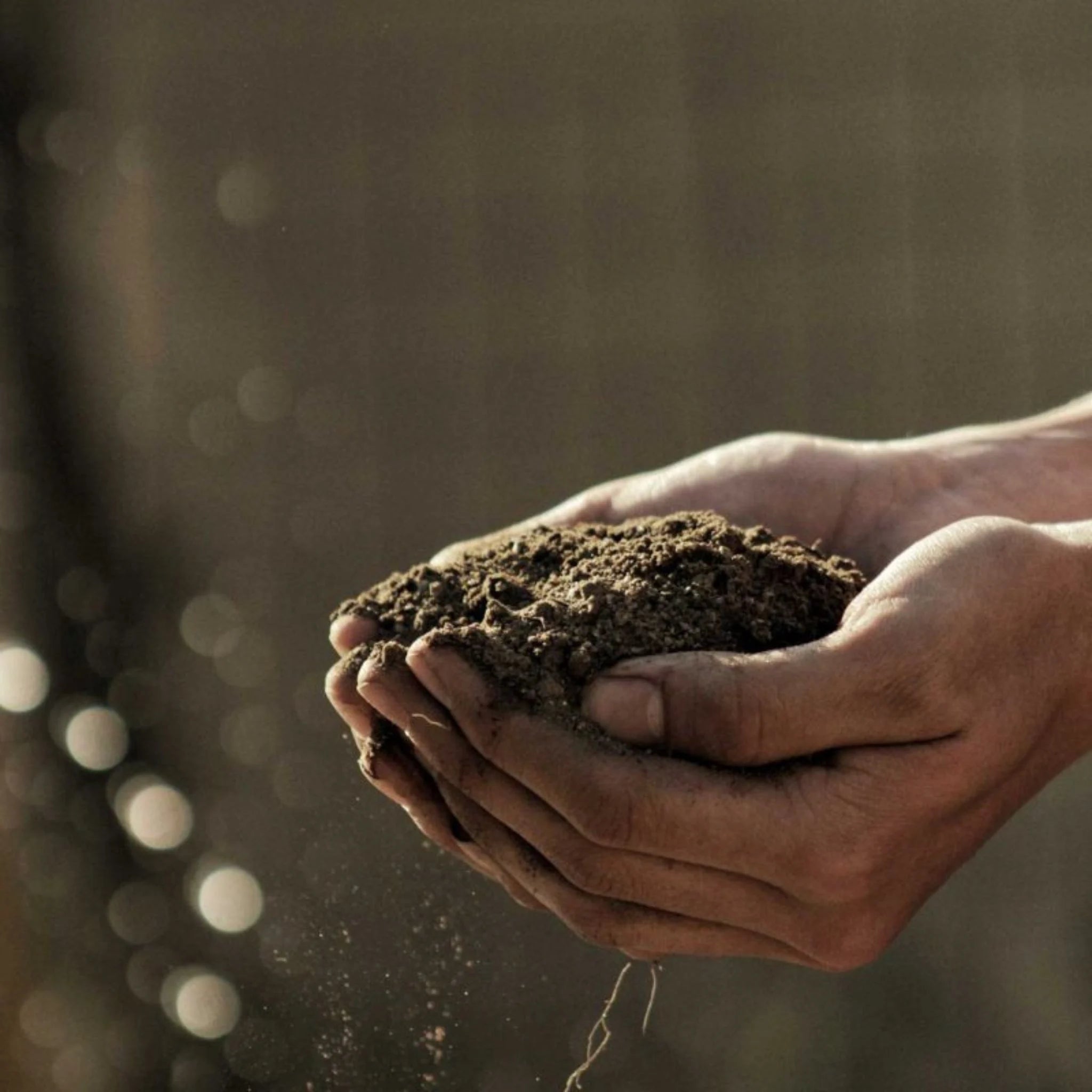 Philosophy | Domaine Pichot