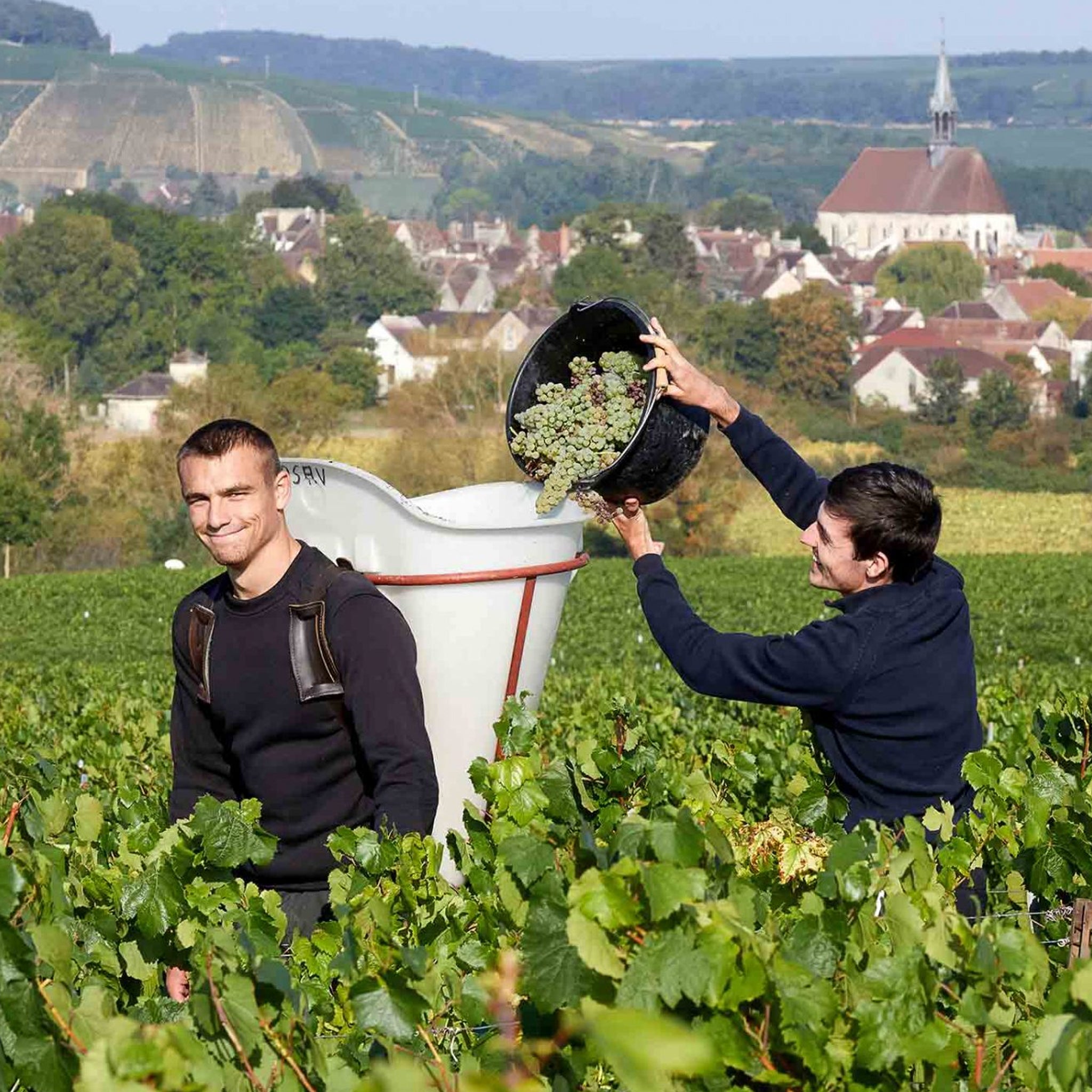 Domaine Samuel Billaud Les Vaillons Vieilles Vignes Chablis 1er Cru 2023