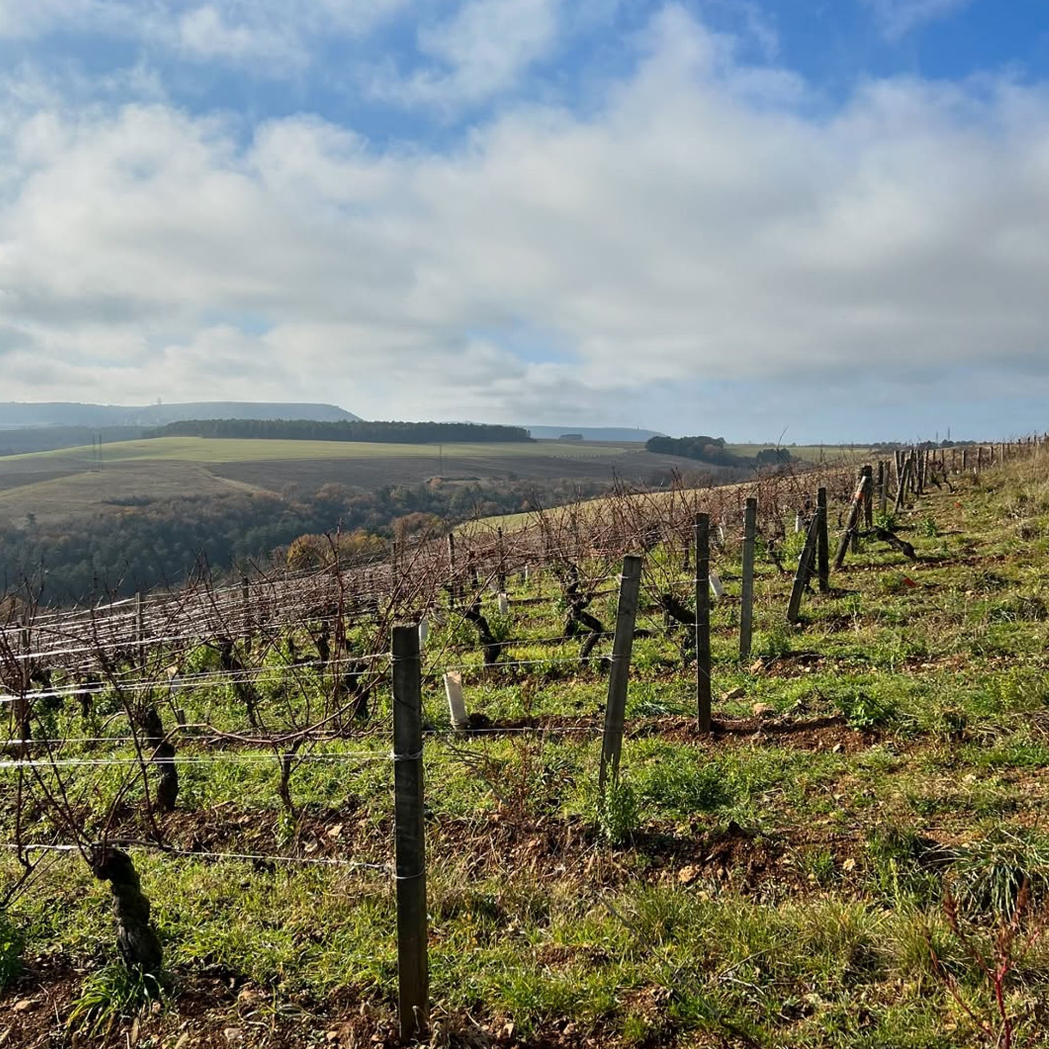 Philosophy | Domaine de la Cras