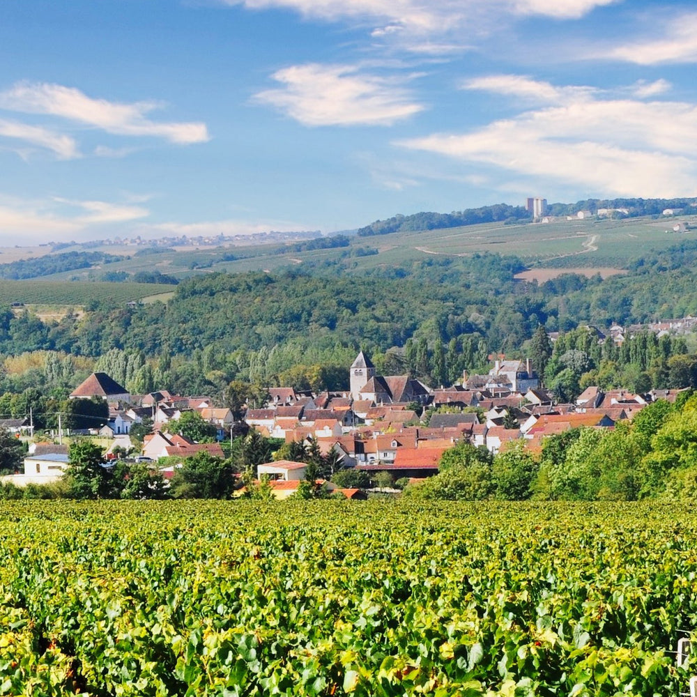 Domaine des Hâtes Pierrick Laroche Chablis 2023 1.5L