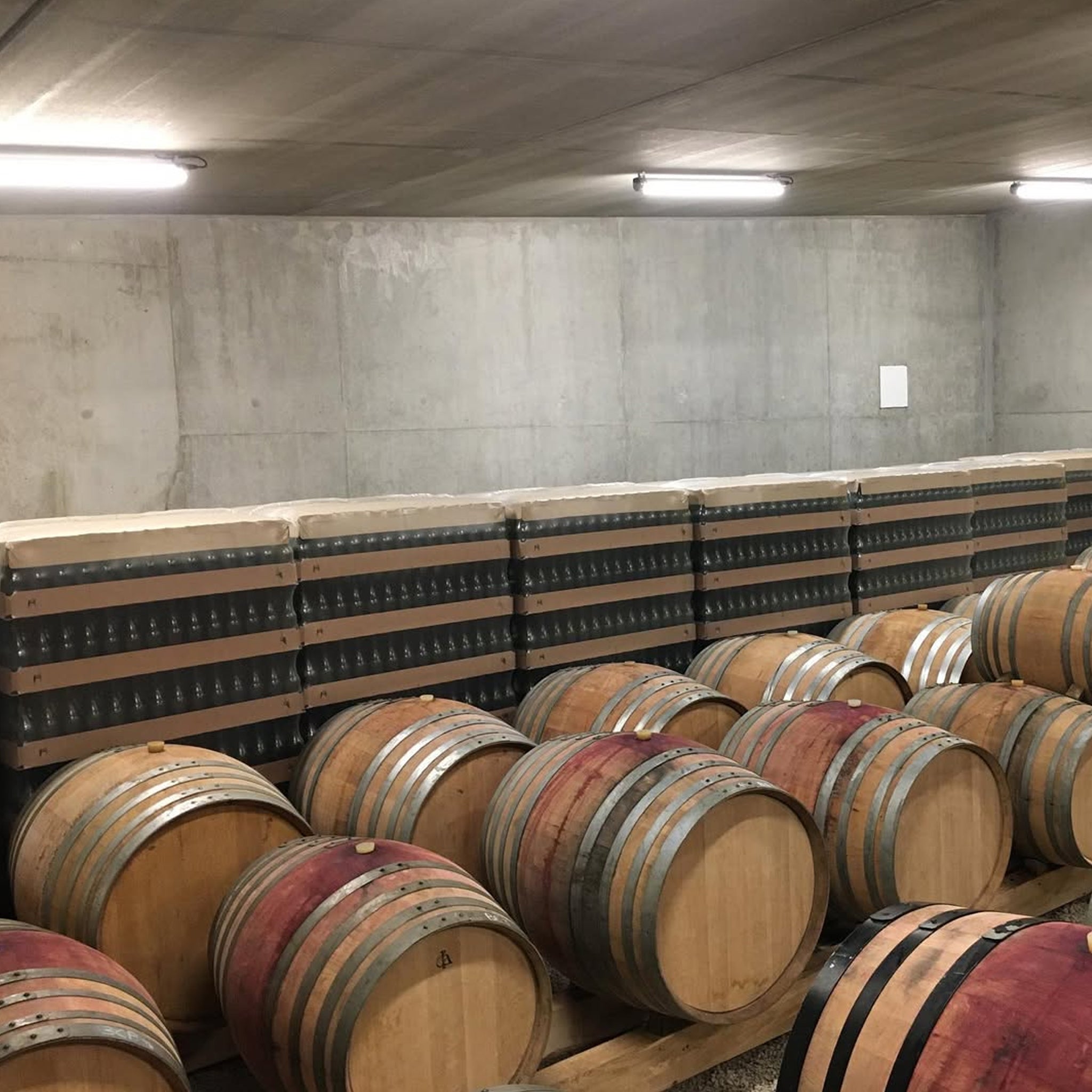 Domaine du Pélican Arbois Chardonnay 2023