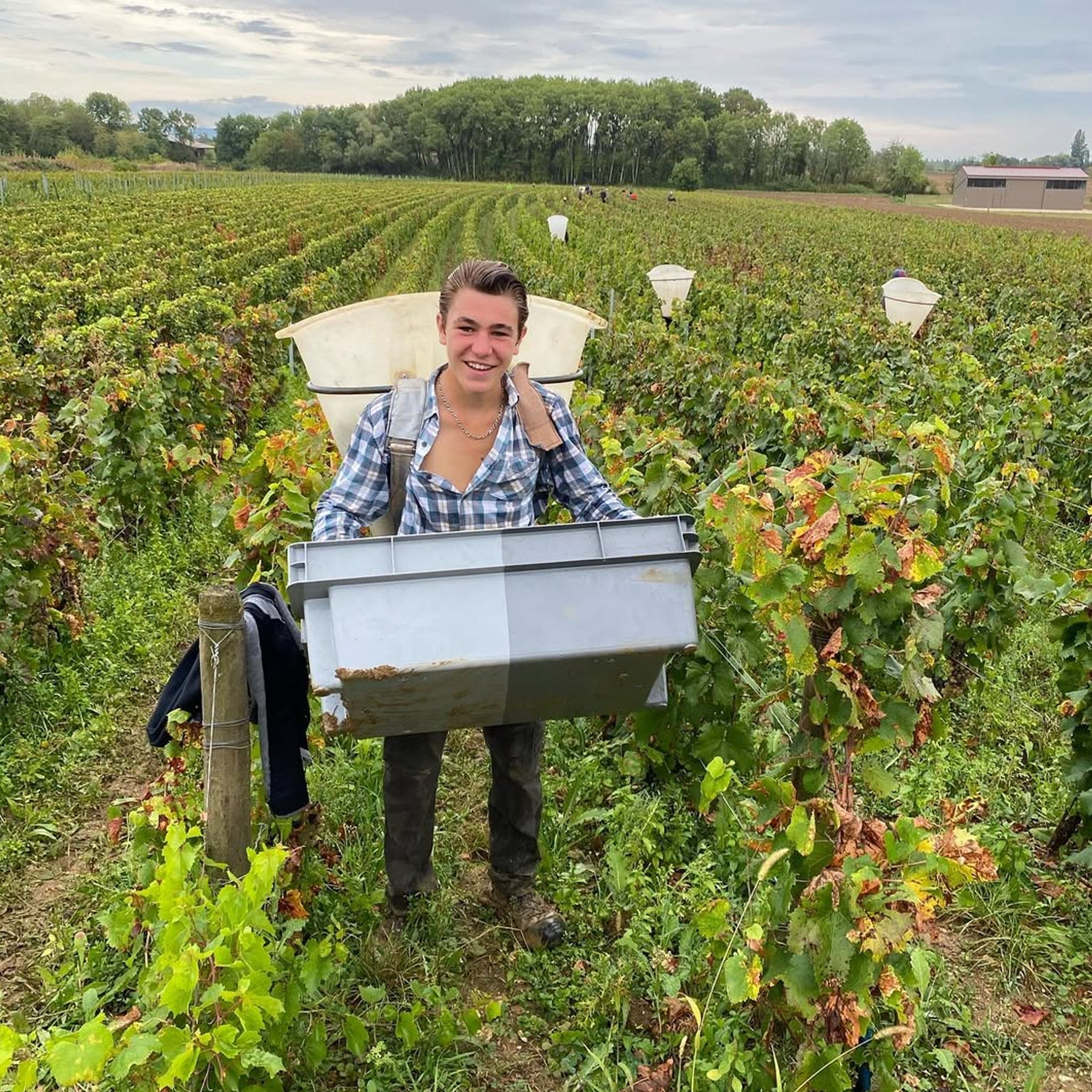 Domaine du Pélican Arbois Chardonnay 2023