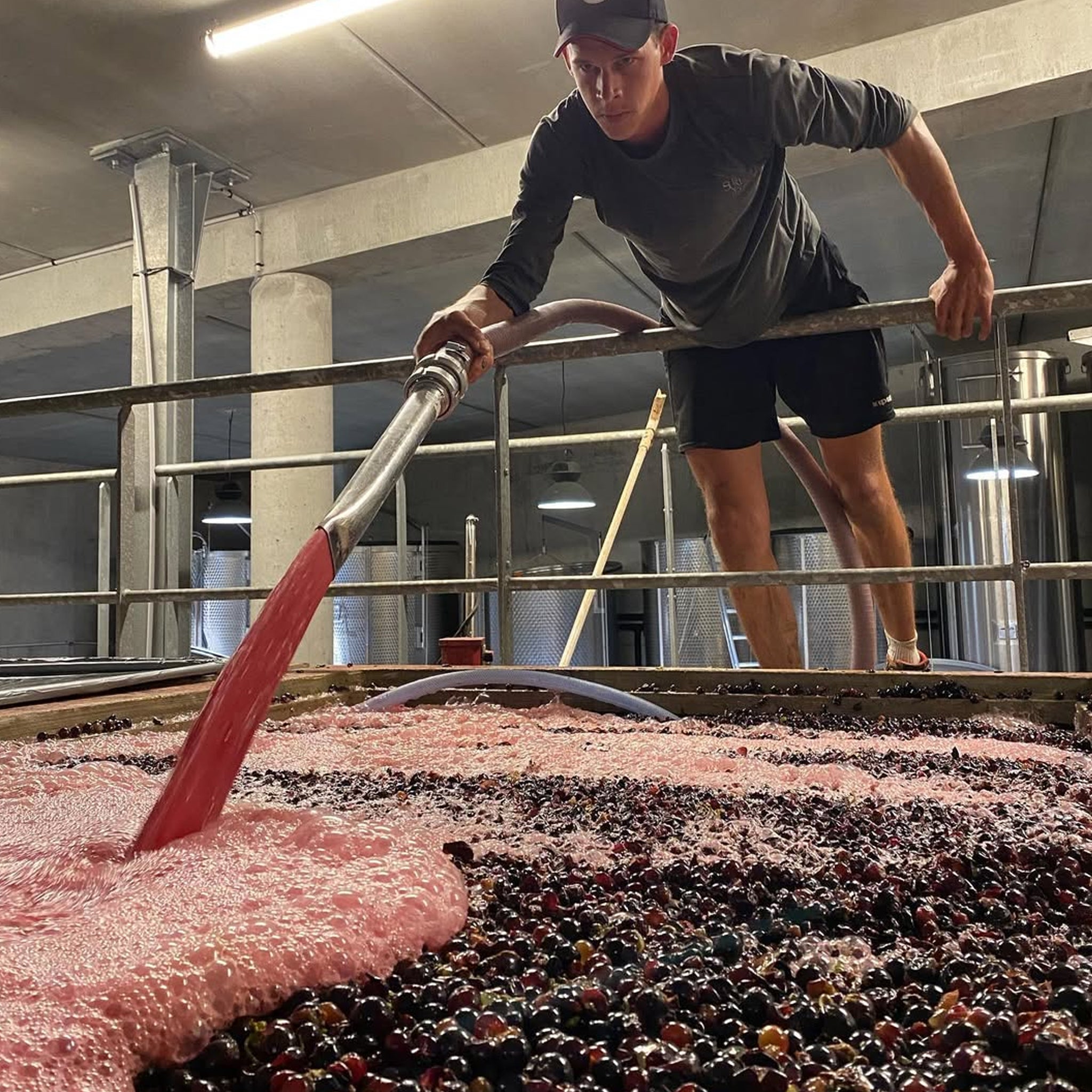 Domaine du Pélican Arbois St Laurent Pinot Noir 2023