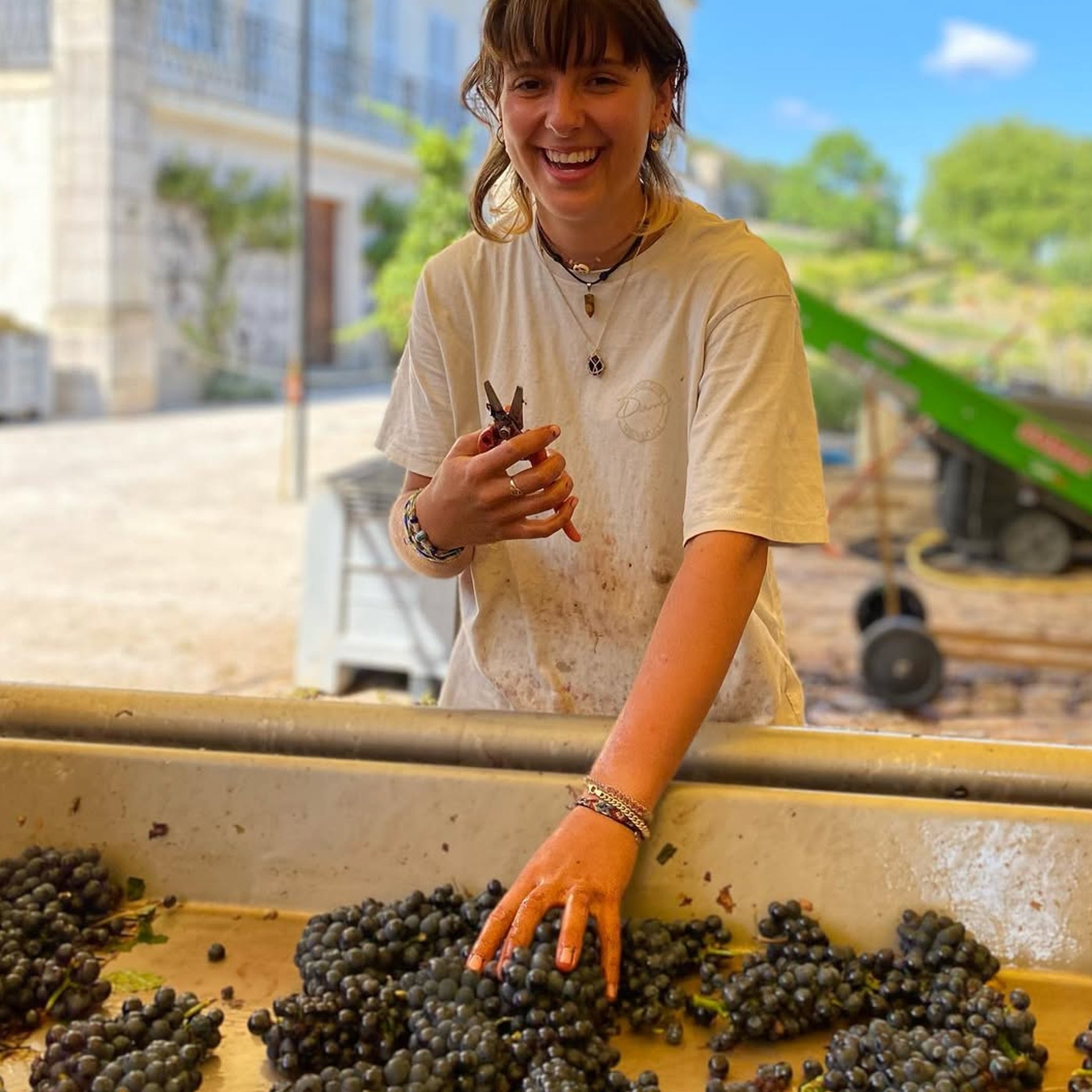 Domaine du Pélican Arbois St Laurent Pinot Noir 2023