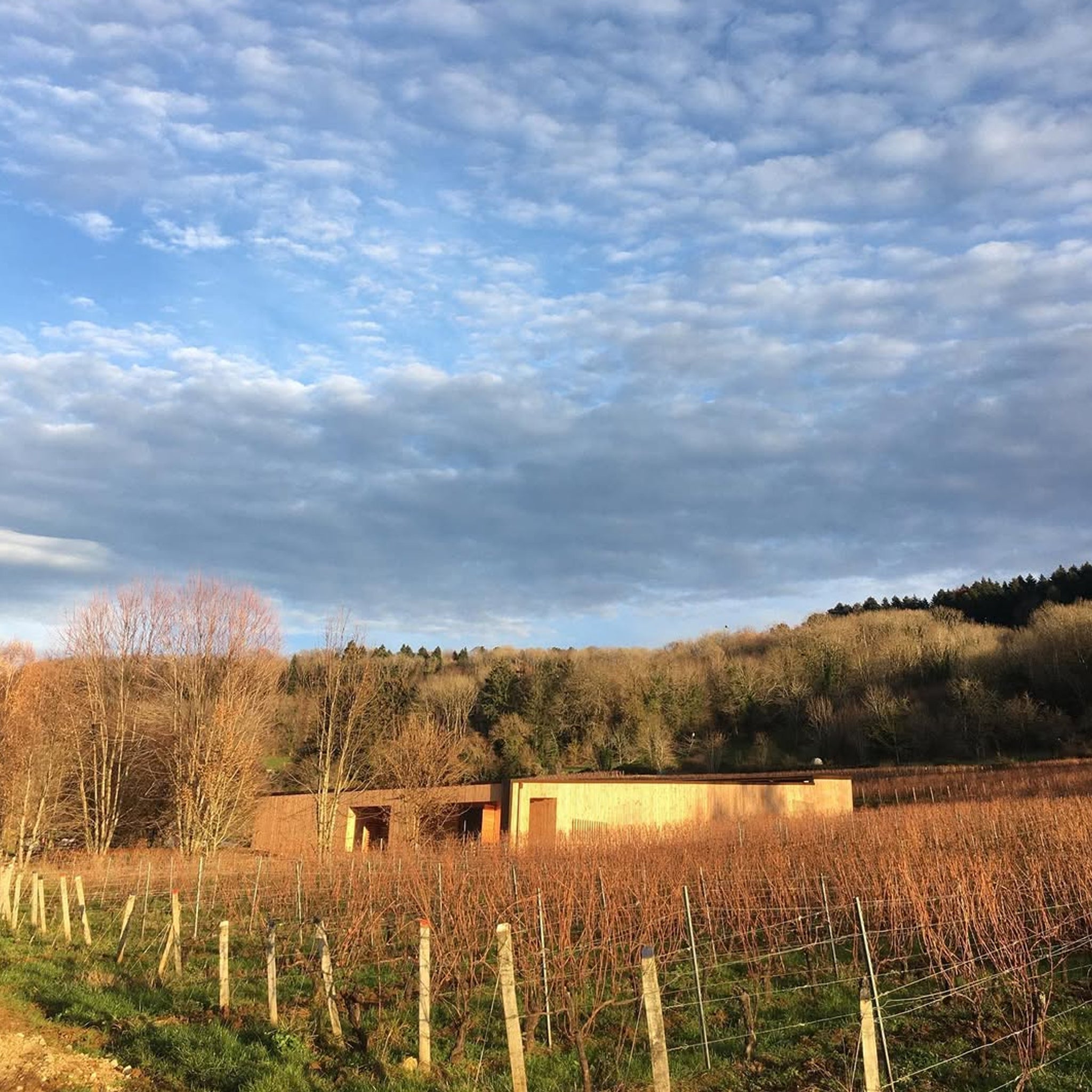 Domaine du Pélican