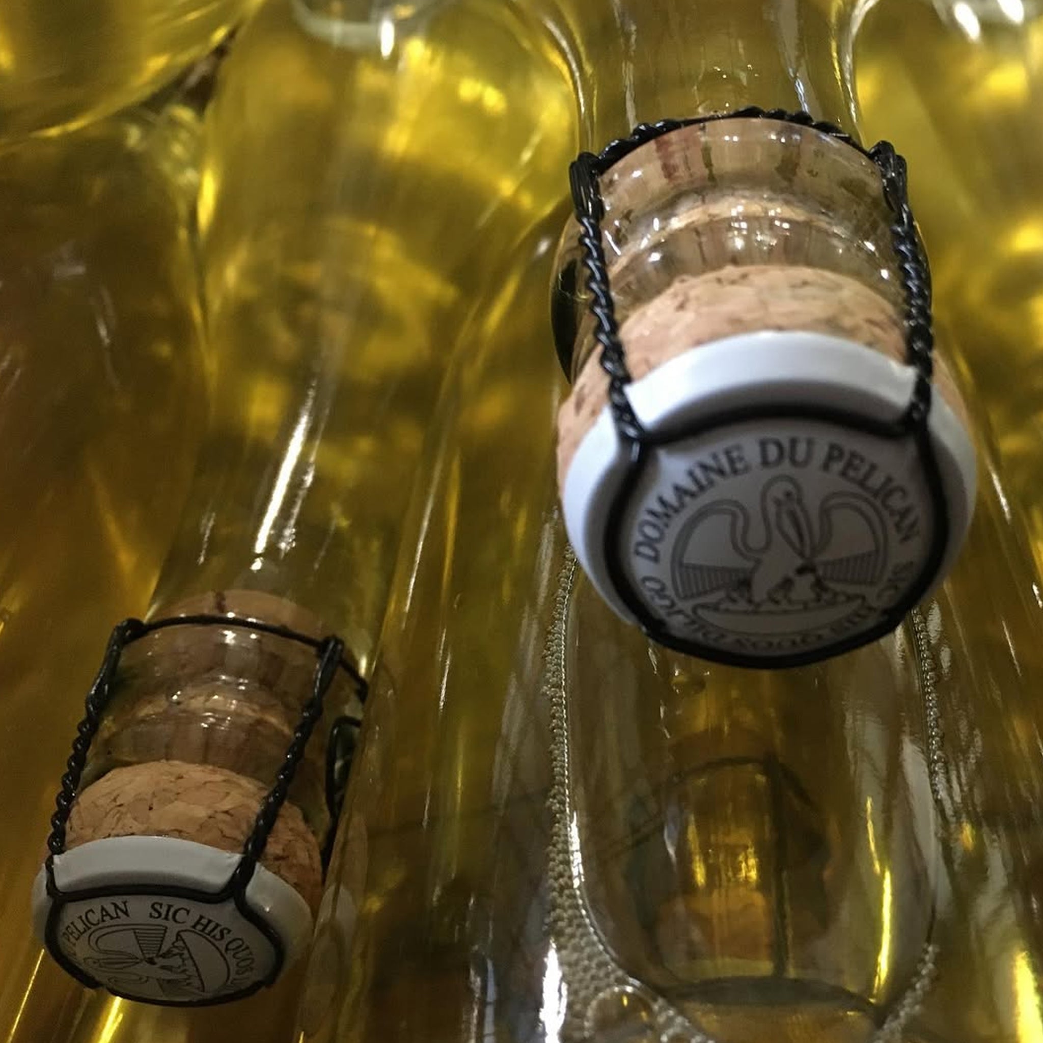 Domaine du Pélican Arbois Chardonnay 2023