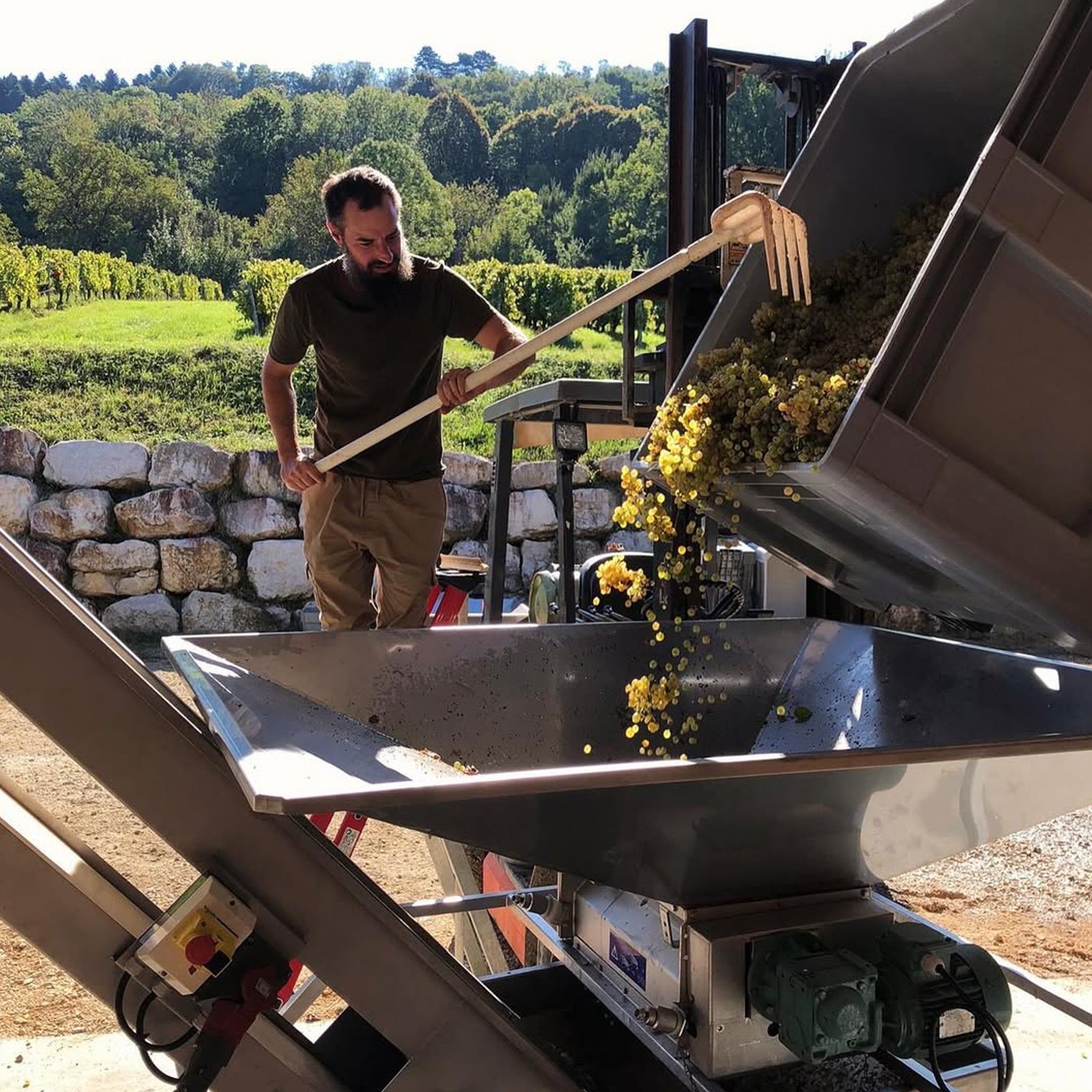 Domaine du Pélican Arbois Chardonnay 2023