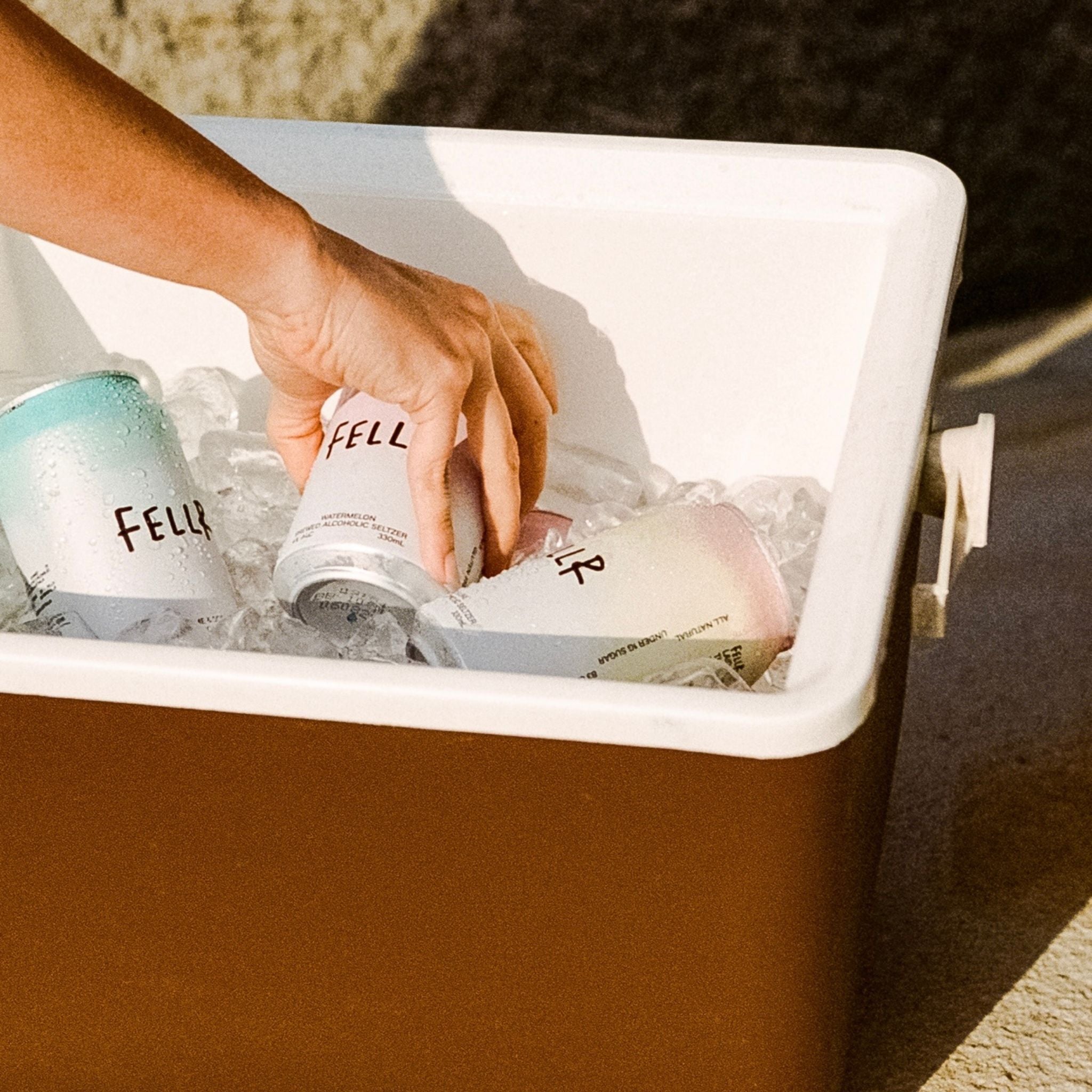 Fellr Watermelon Seltzer (4 Pack)