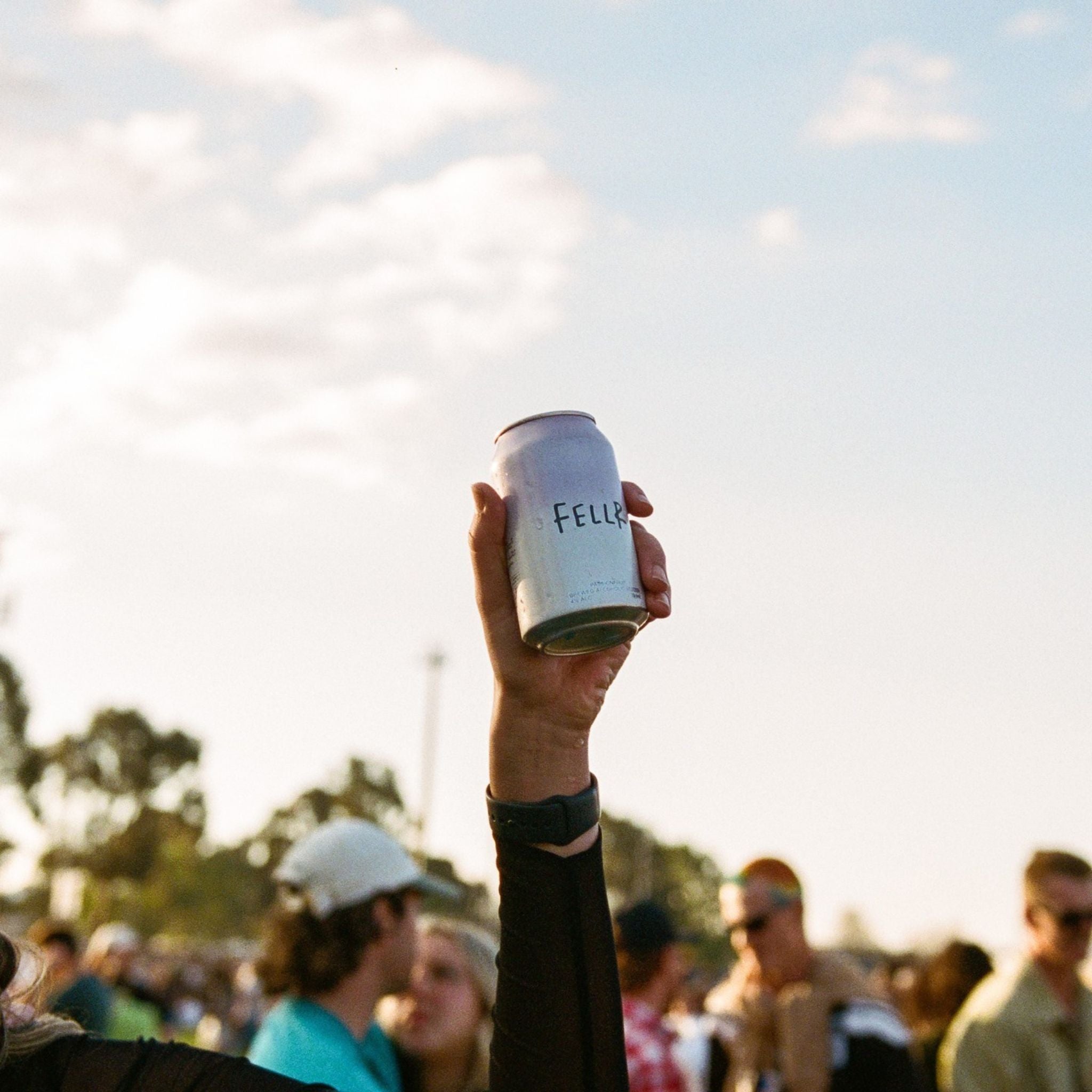 Fellr Passionfruit Seltzer (Case)
