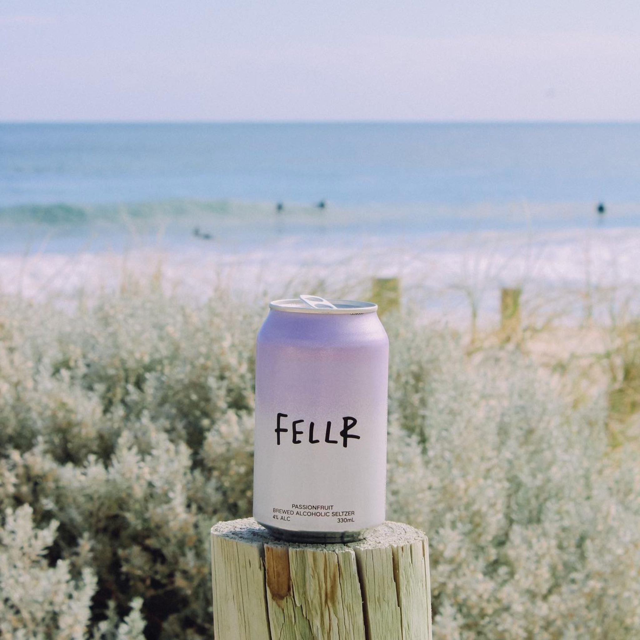 Fellr Passionfruit Seltzer (Case)