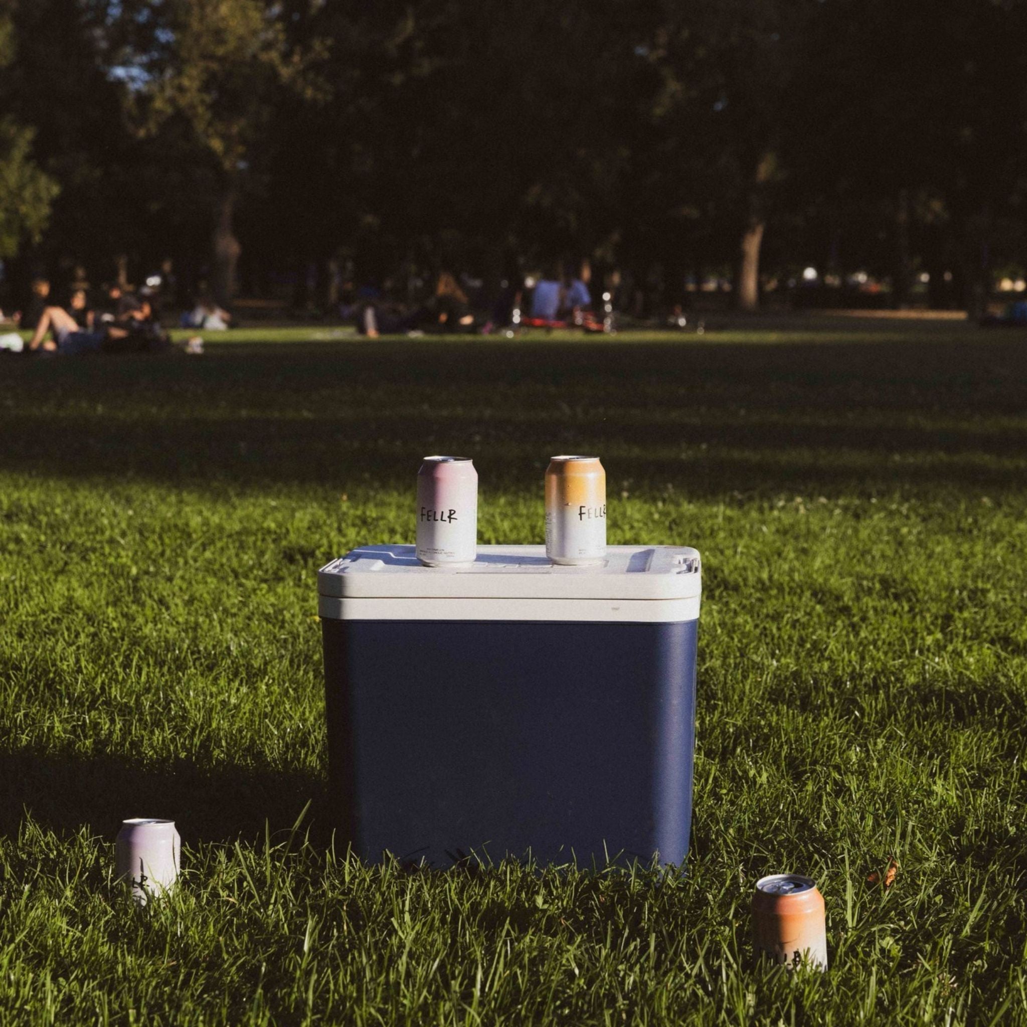 Fellr Passionfruit Seltzer (Case)