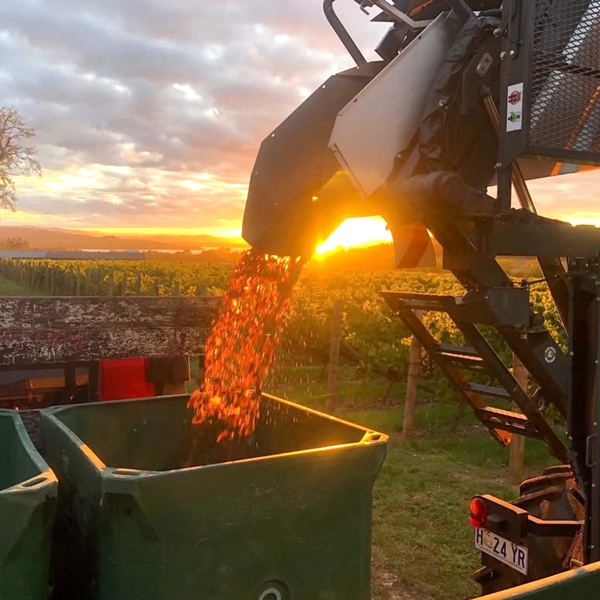 Frogmore Creek Single Block Series Pinot Noir 2022