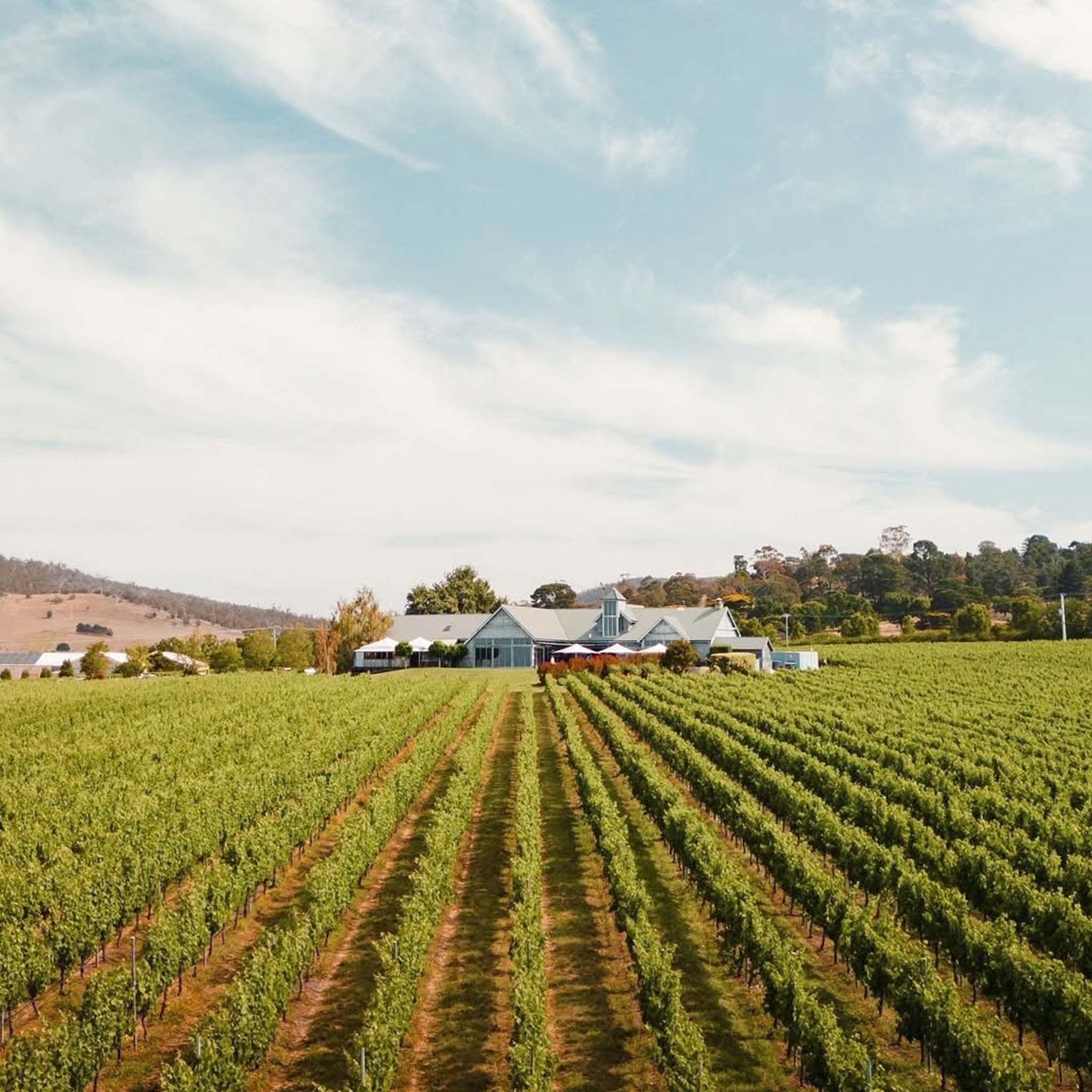 Frogmore Creek Single Block Series Pinot Noir 2022