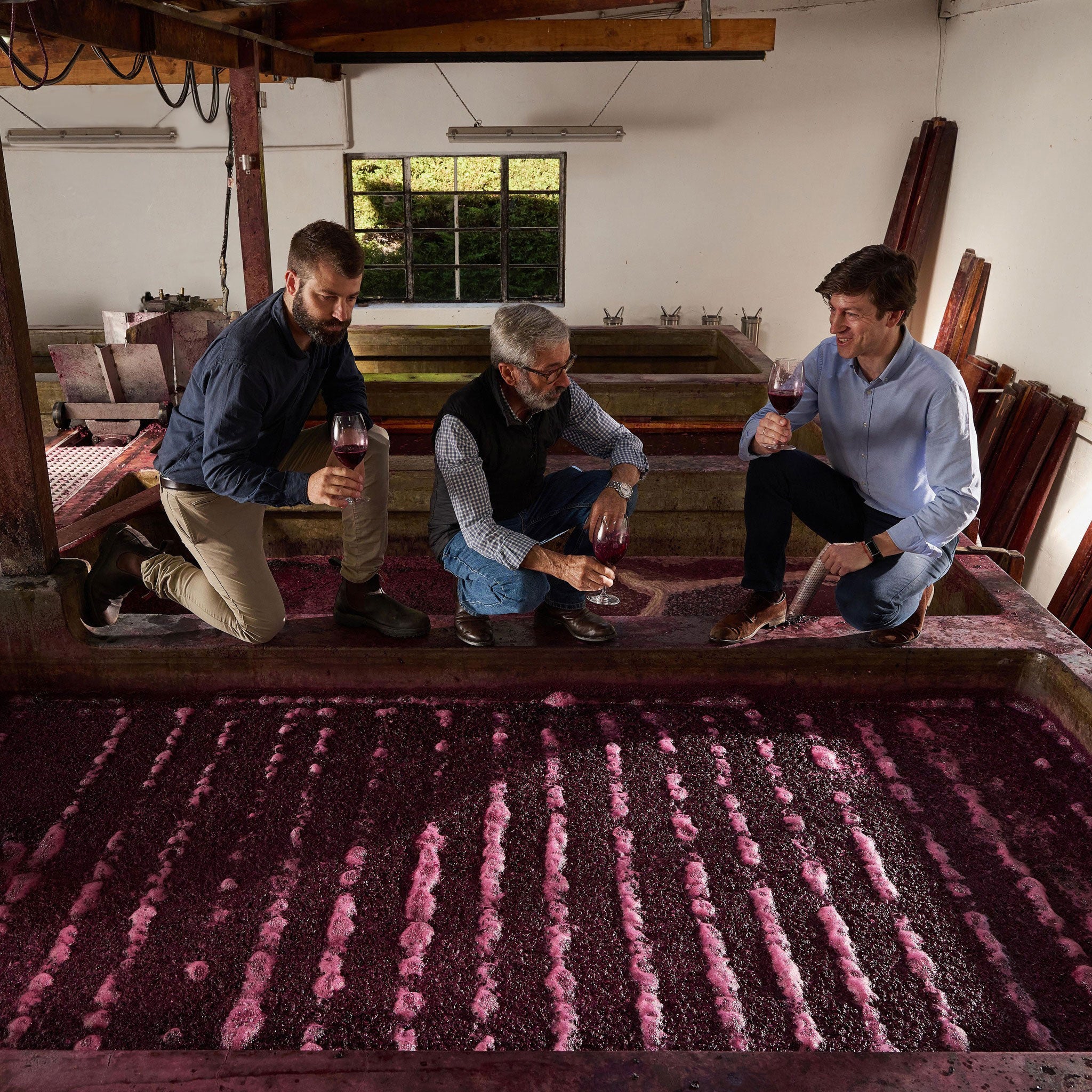 Henschke Bursaria Pinot Noir 2023 (6 Bottles)