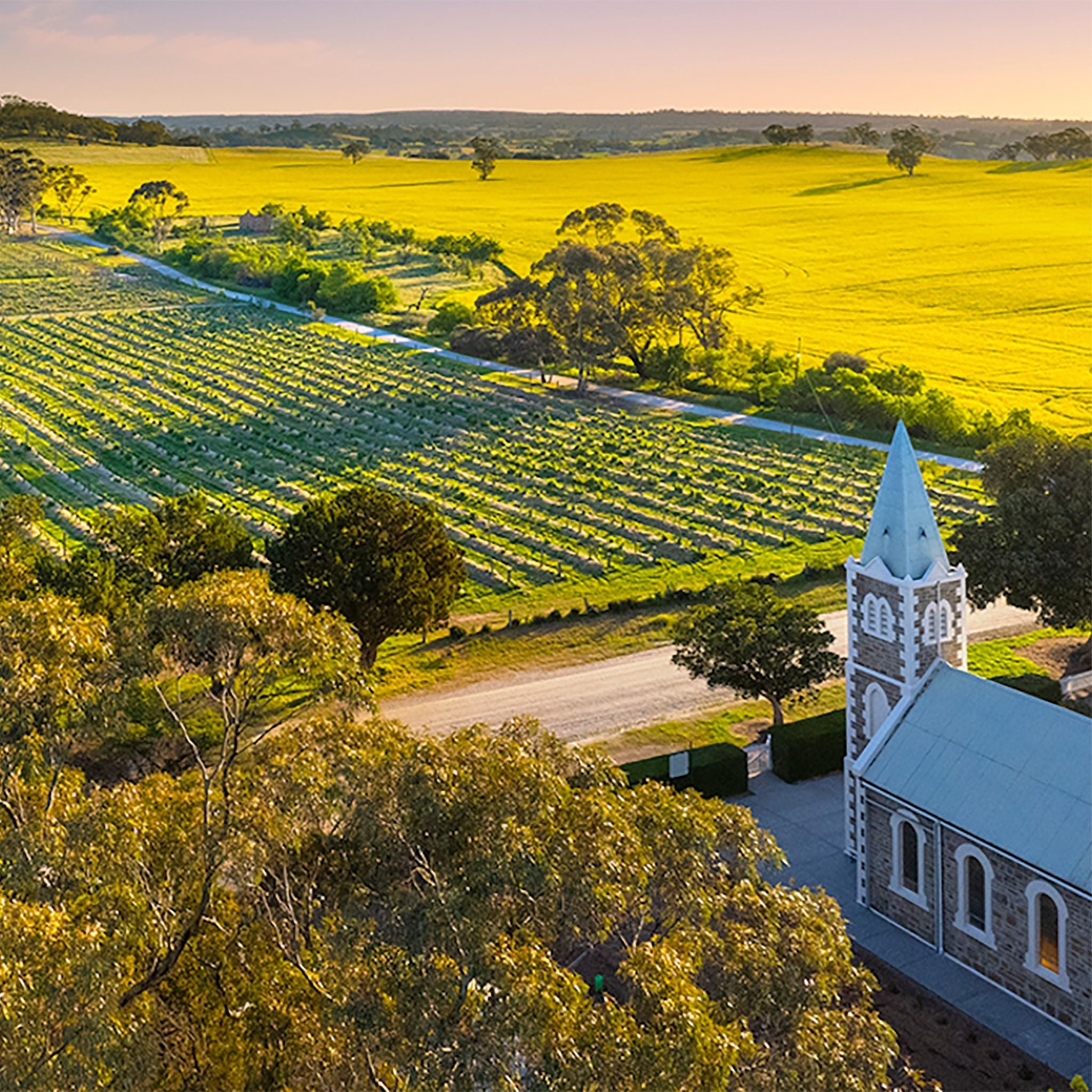 Henschke Hill of Roses Shiraz 2016
