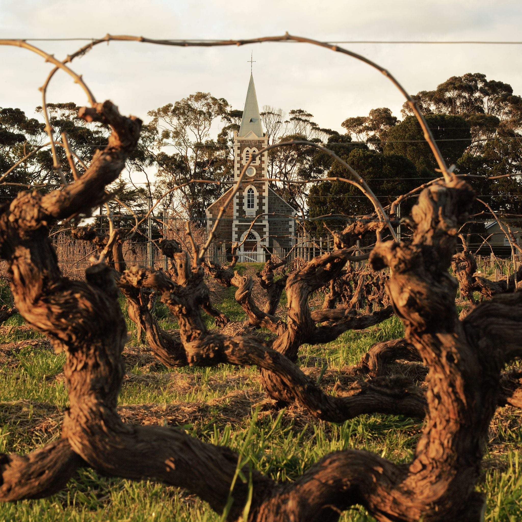 Henschke Cyril Henschke Cabernet Sauvignon 2022 1.5L