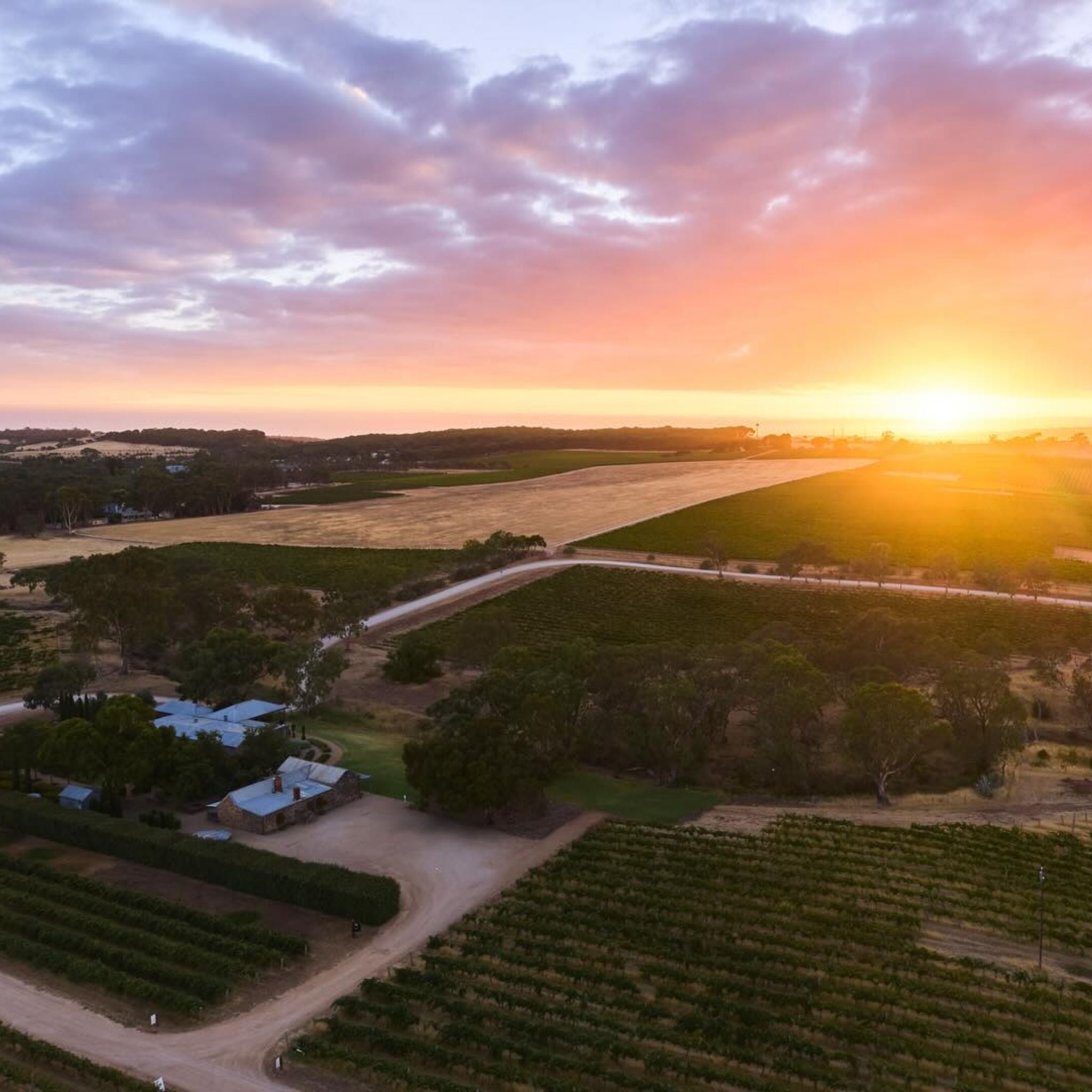 Hentley Farm Blanc de Noir 2025