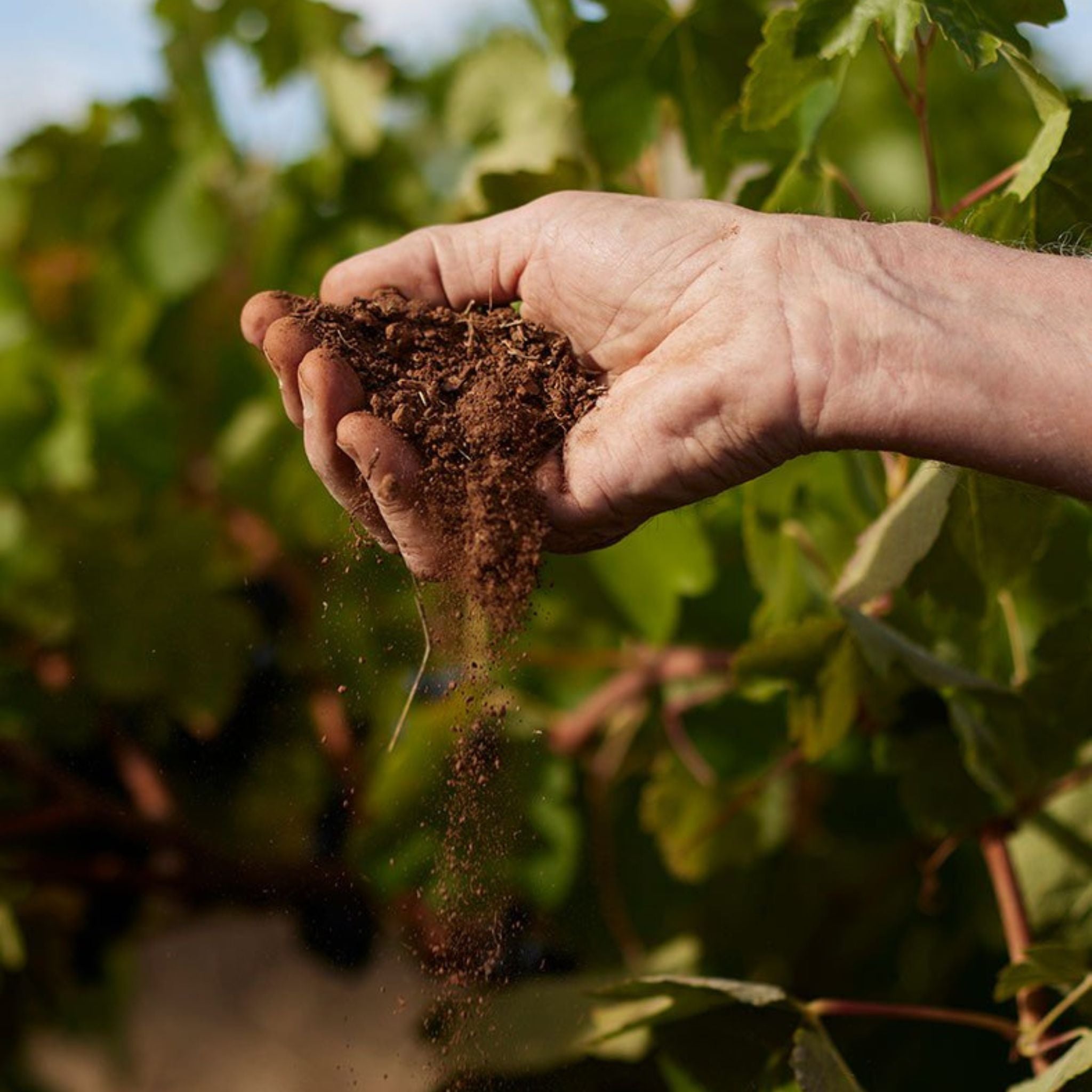 Philosophy | Jasper Hill