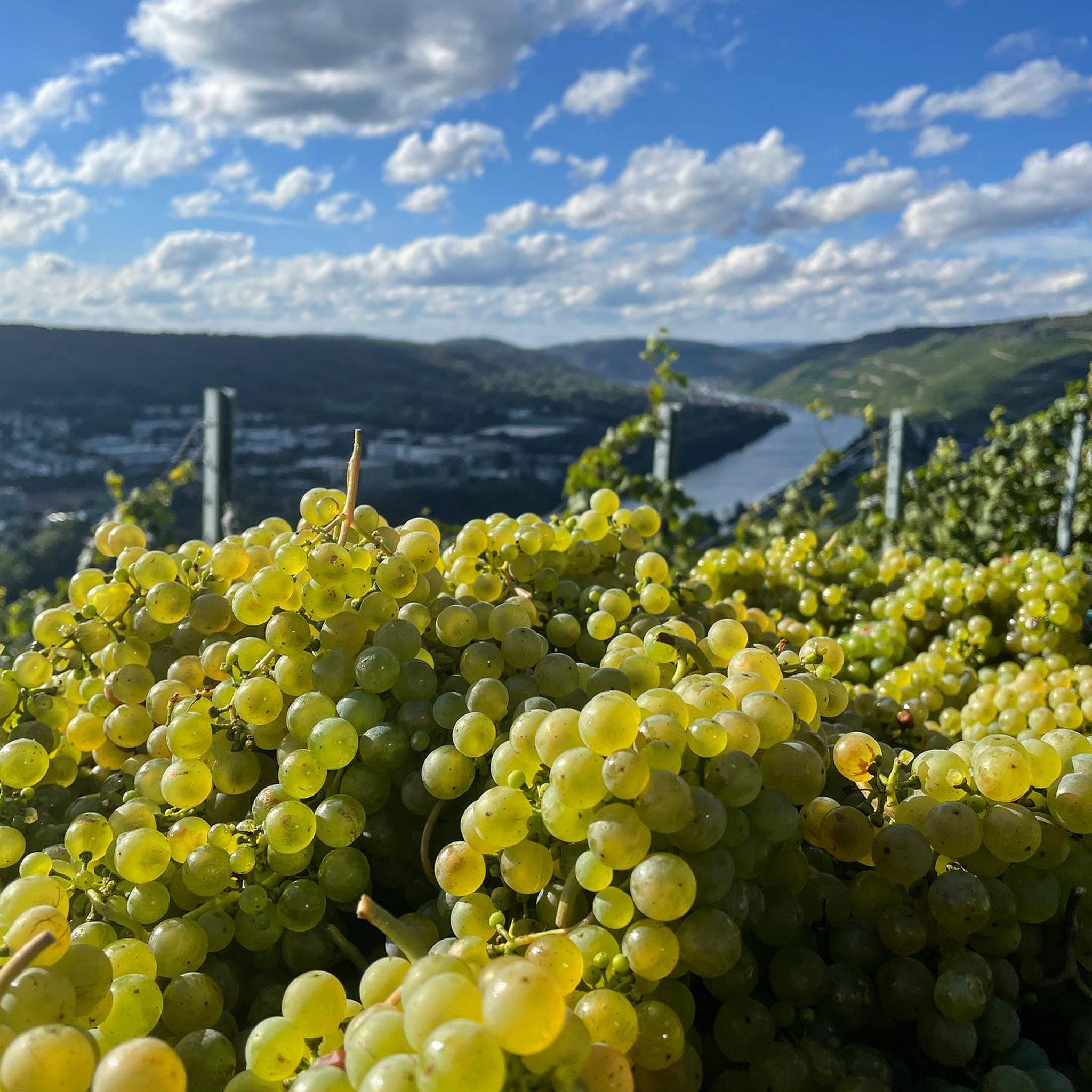 Joh Jos Prüm Graacher Himmelreich Riesling Auslese 2022