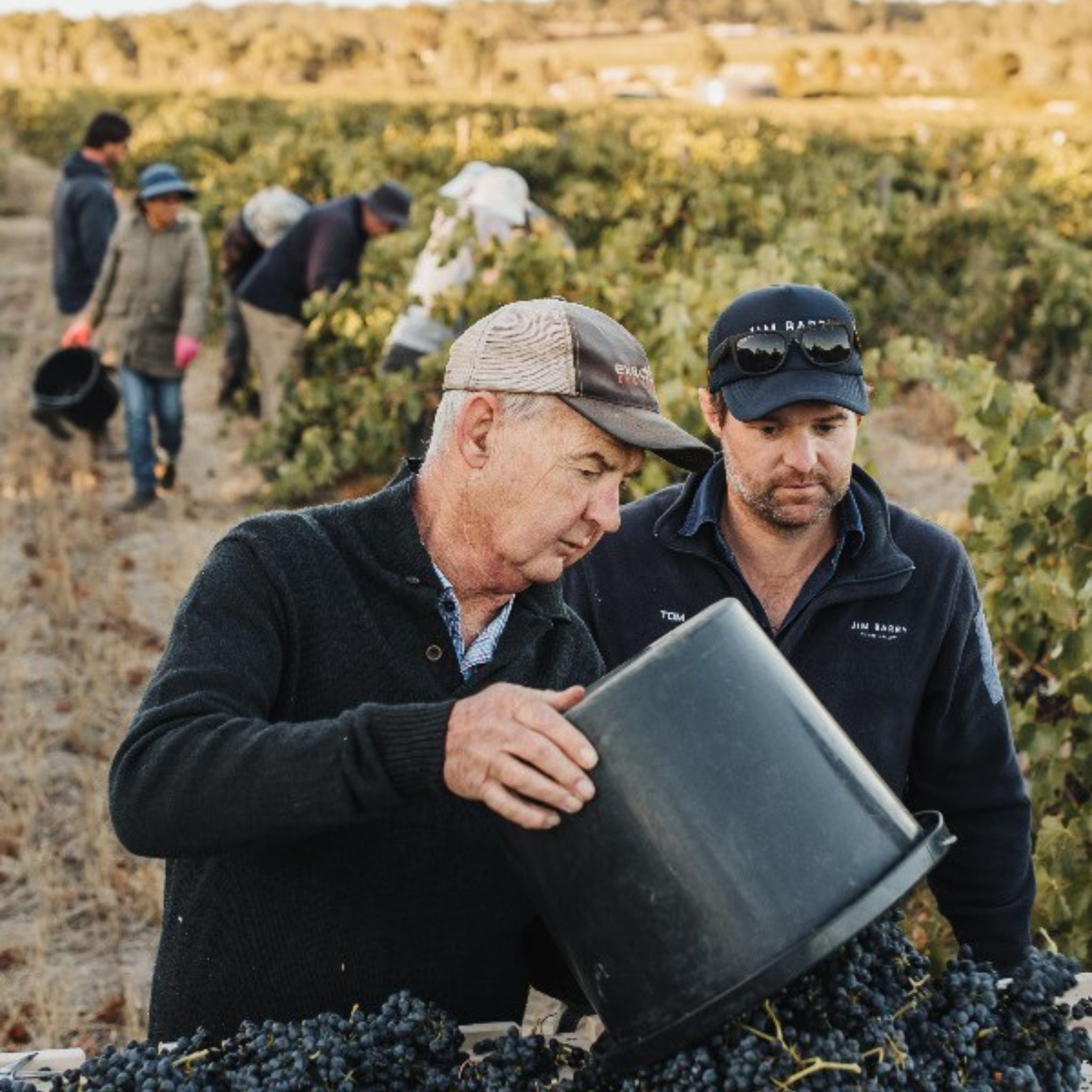 Jim Barry The Armagh Shiraz 2008
