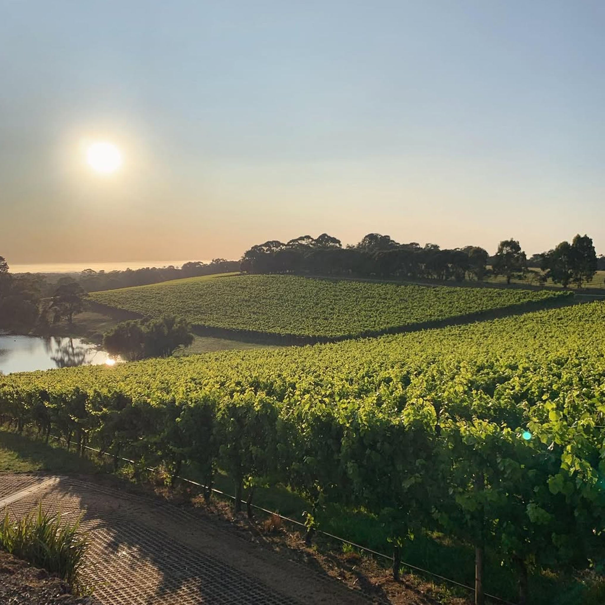 Kooyong Estate