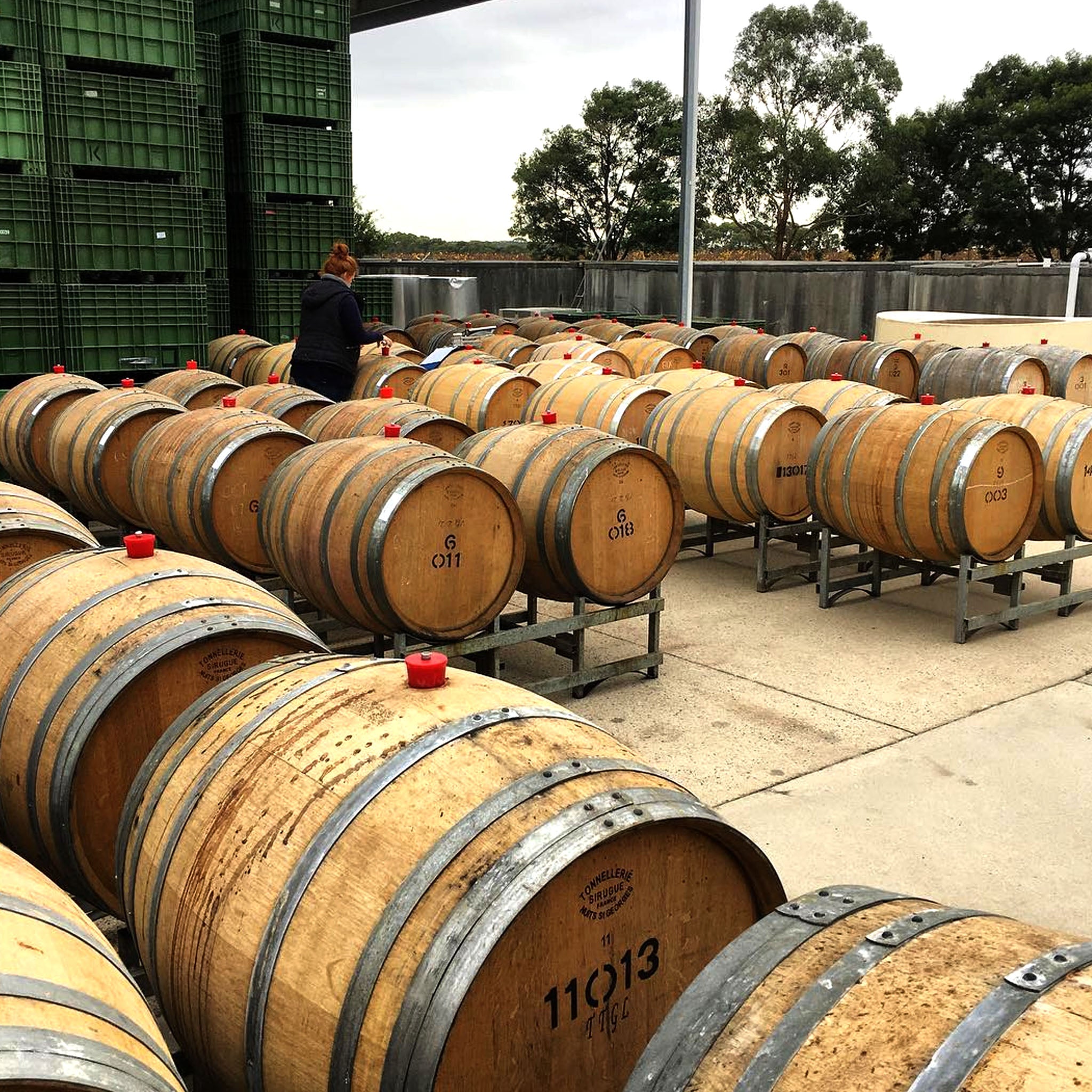 Kooyong Clonale Chardonnay 2025