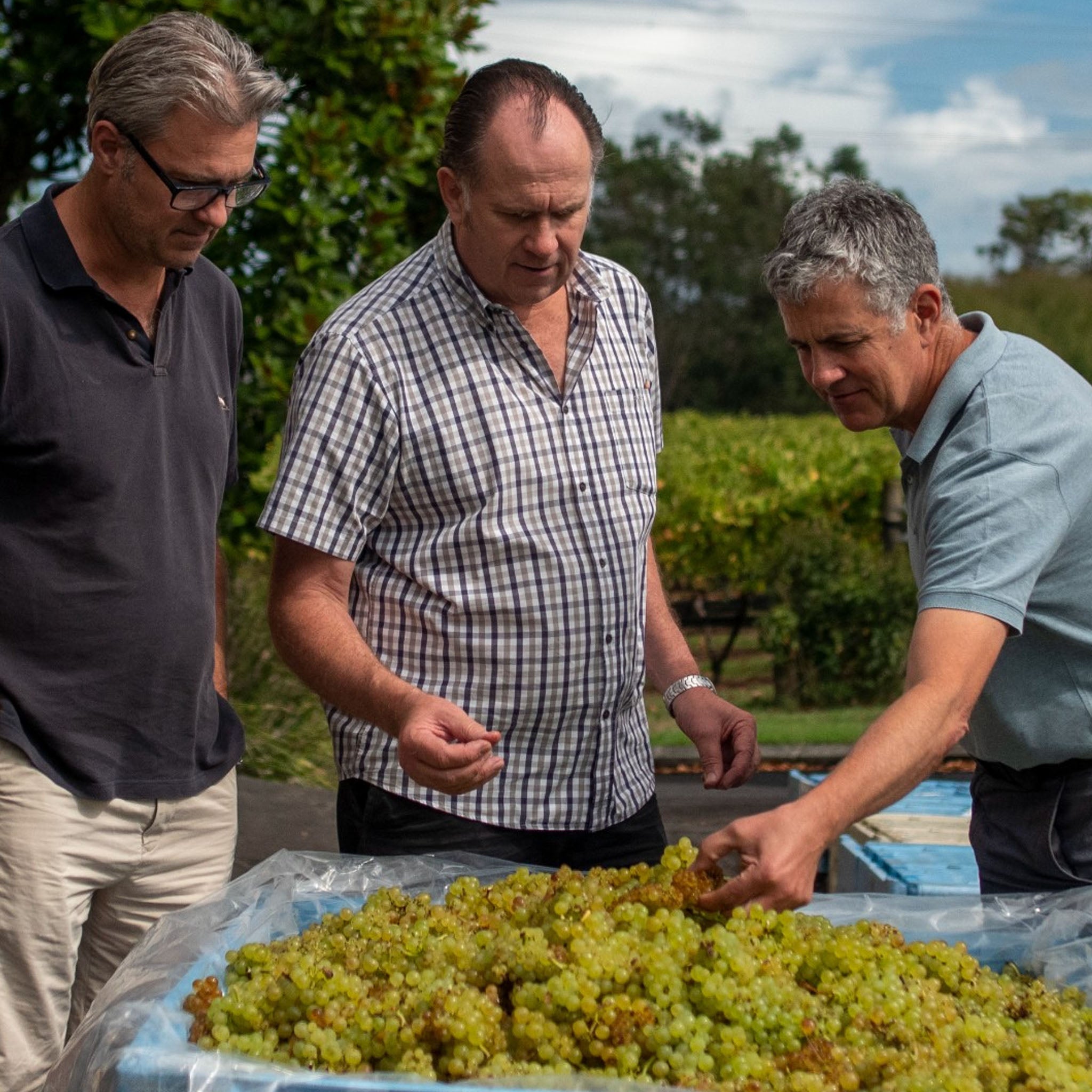 Kumeu River Rays Road Chardonnay 2024
