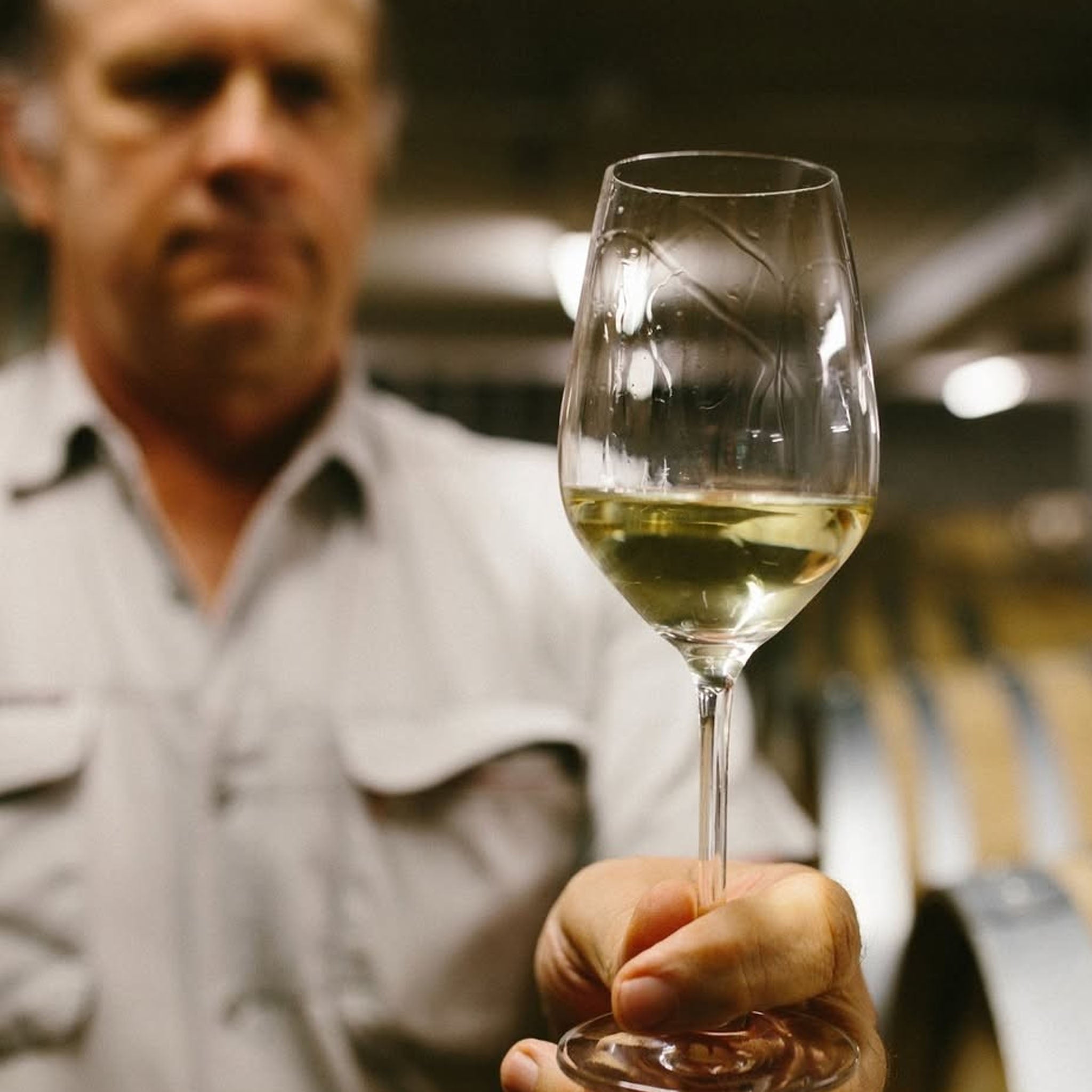 Kumeu River Rays Road Chardonnay 2024