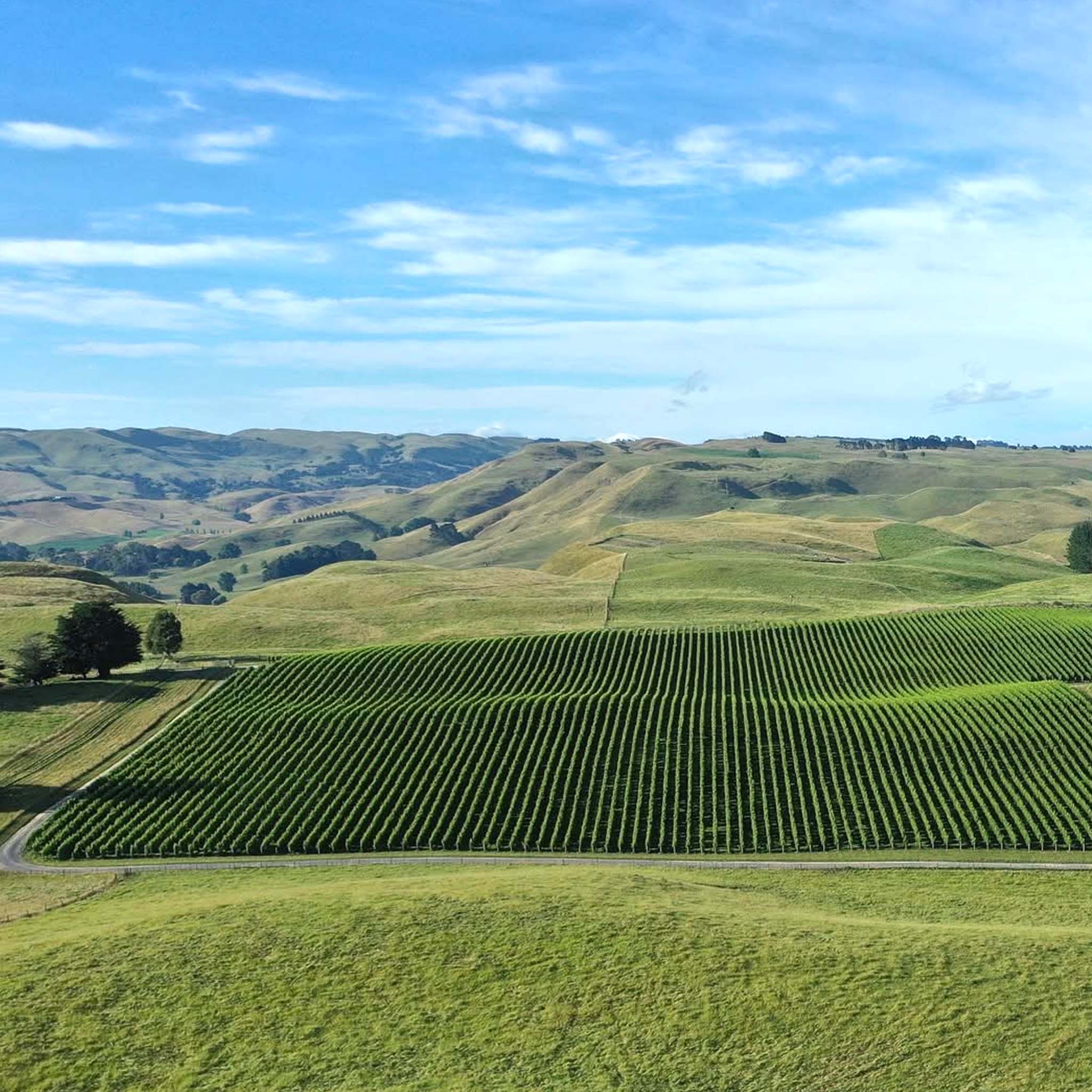 Kumeu River Village Chardonnay 2025