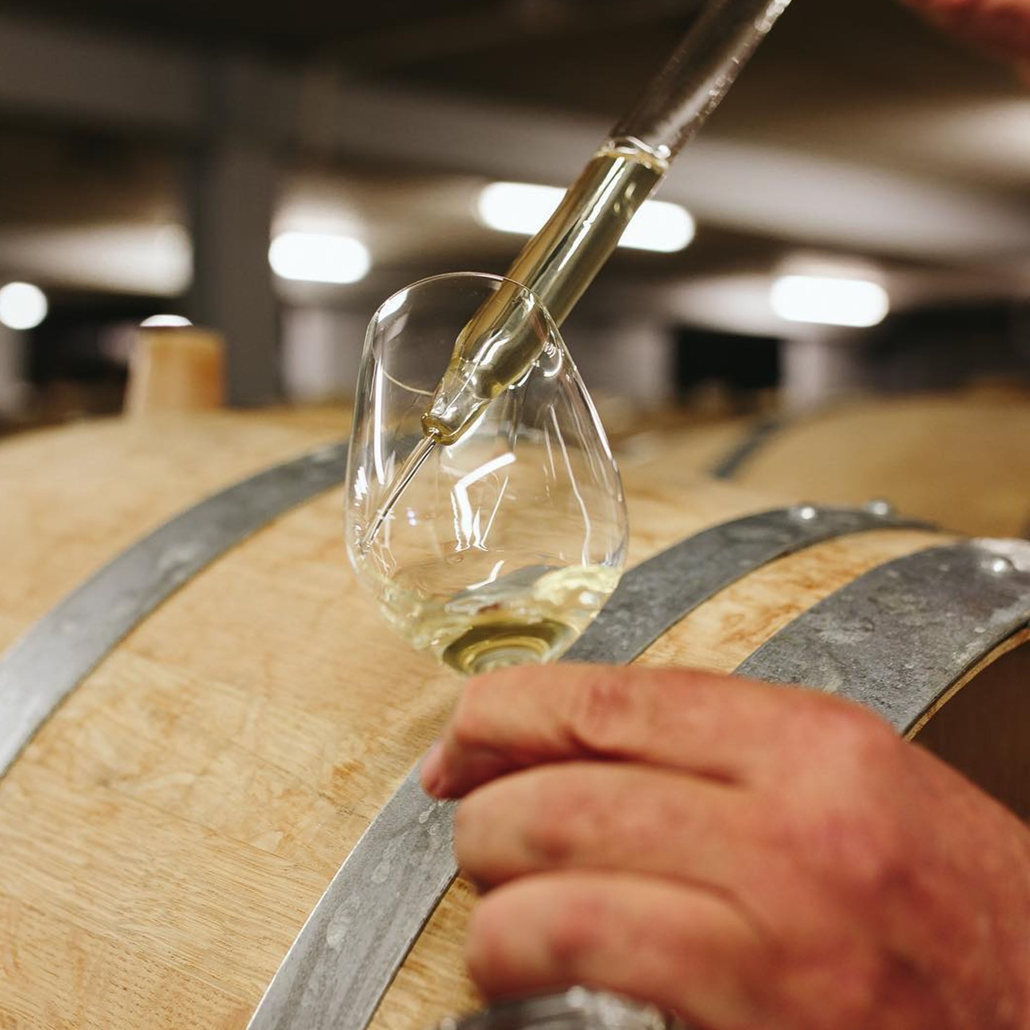Kumeu River Mate's Vineyard Chardonnay 2024