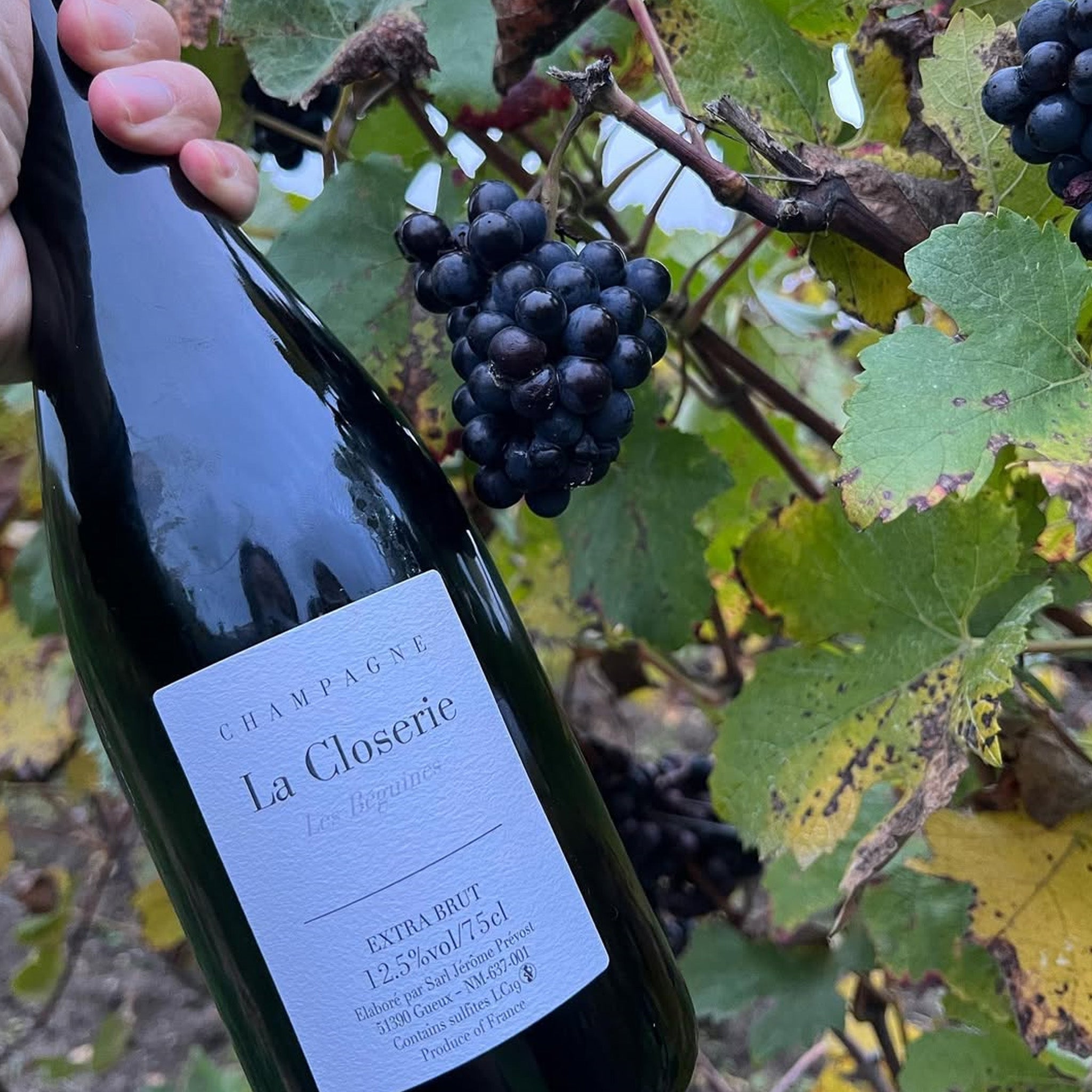 Jerome Prevost La Closerie Les Béguines LC22 Extra Brut NV