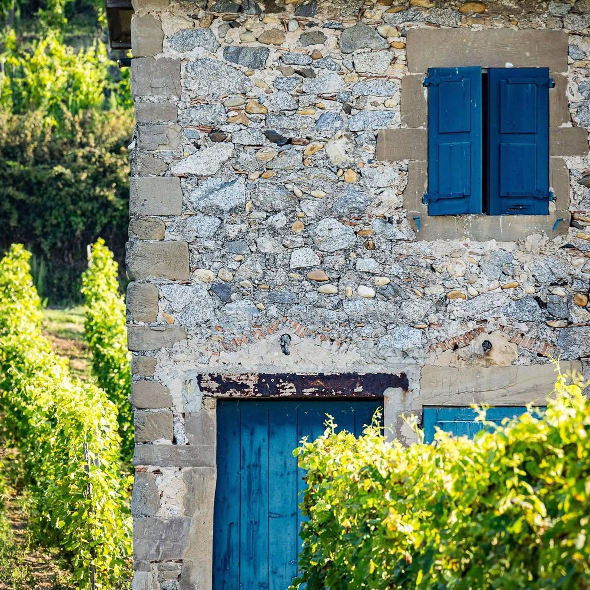 Domaine Paul Jaboulet Cotes du Rhône Rouge Parallele 45 2022
