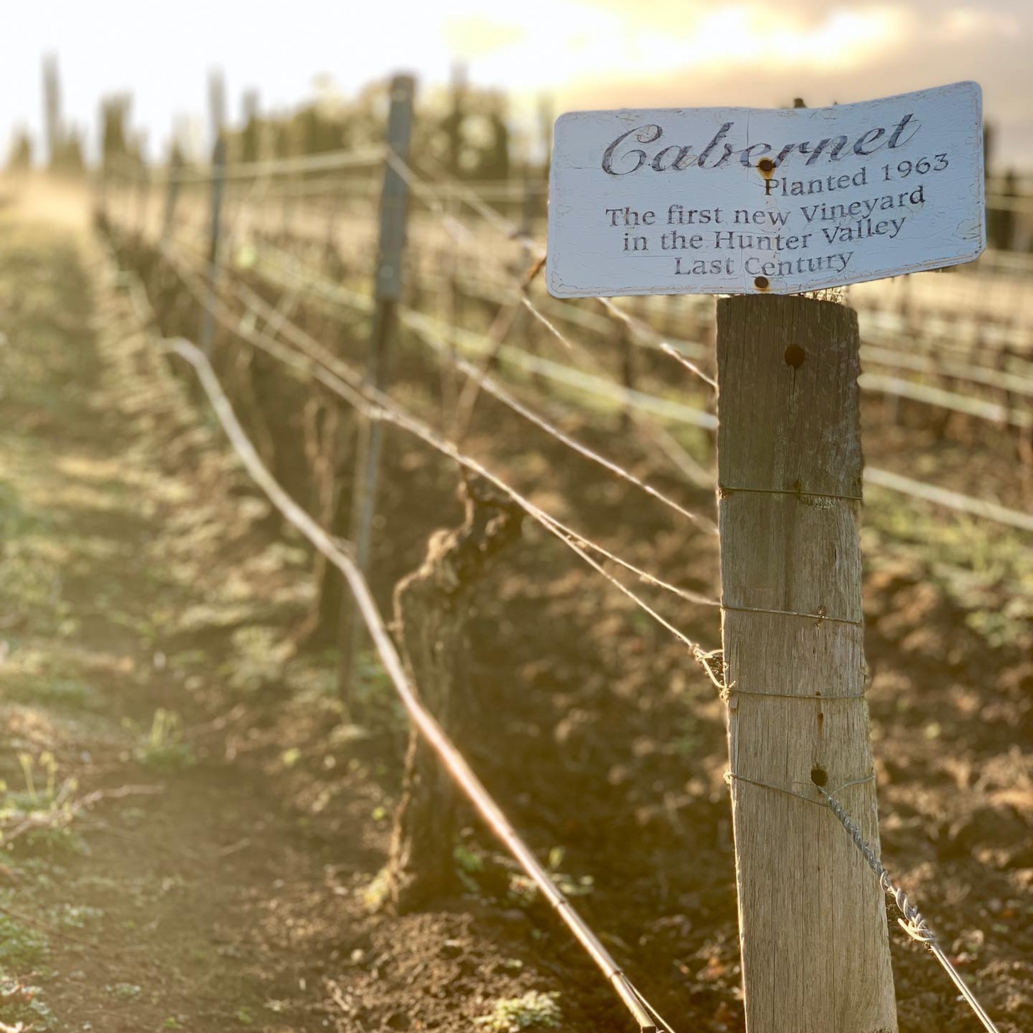 Lake's Folly Cabernets 2024